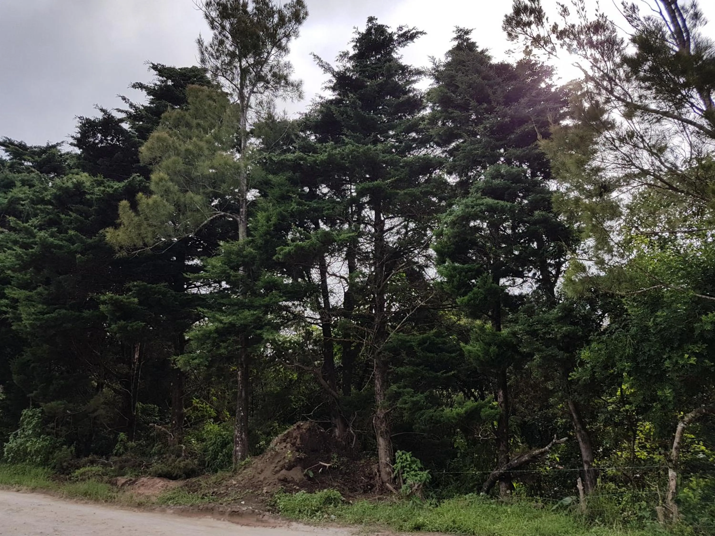 Nearby landmark in Greemount Hotel