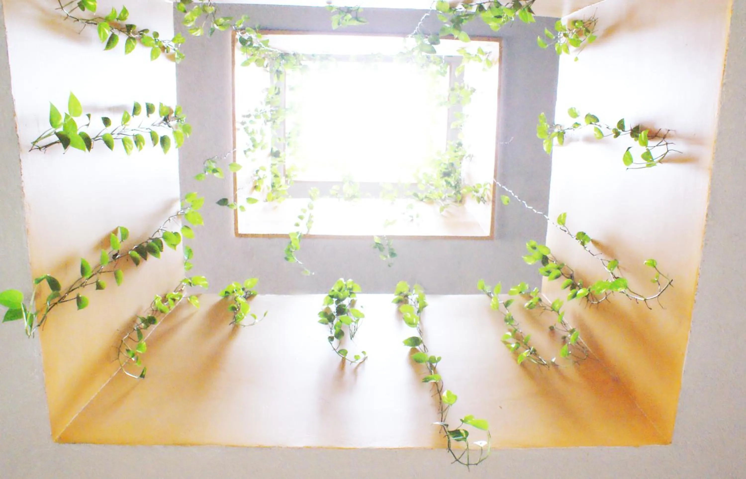 Hotel San Juan Centro