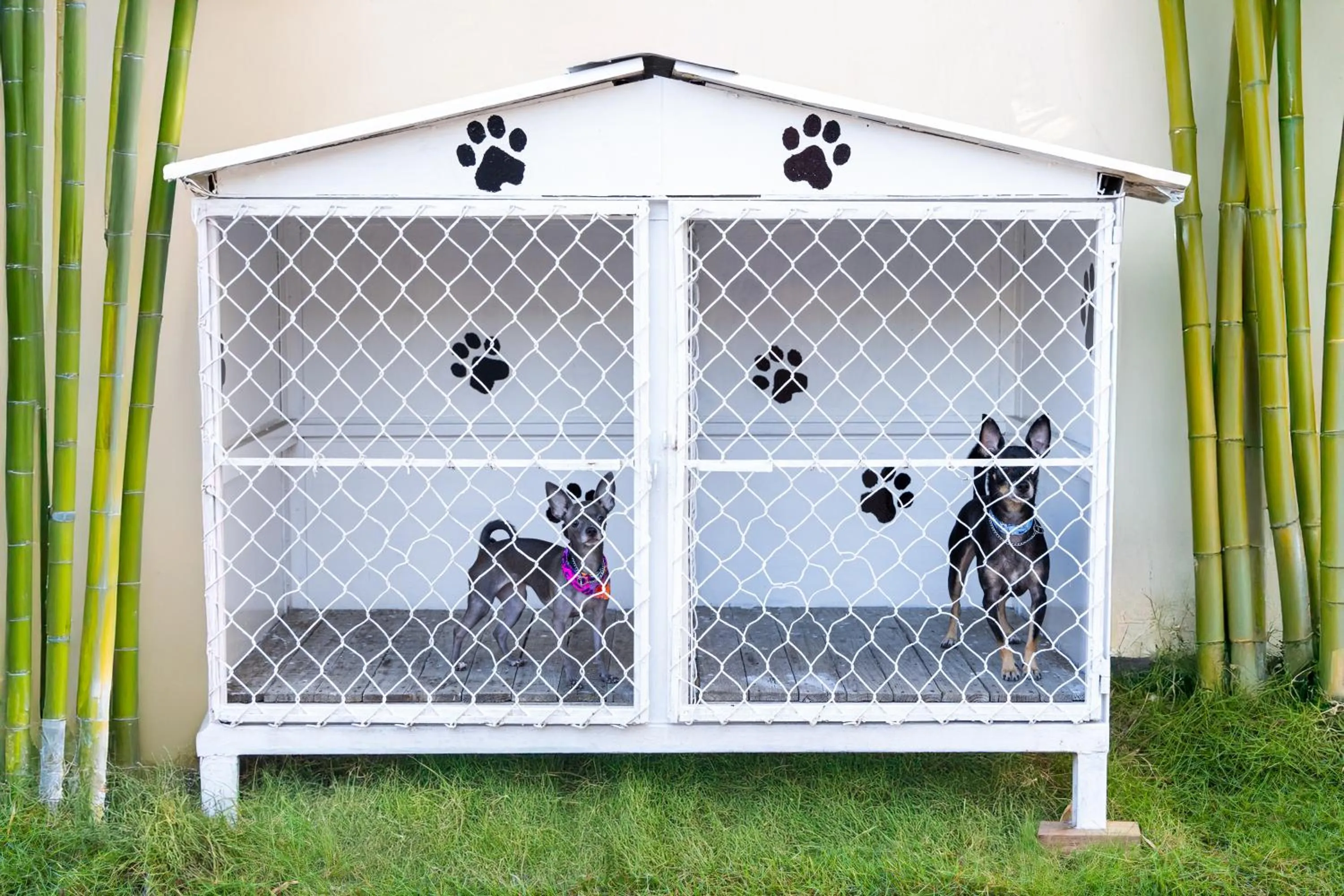 Patio in Hotel San Juan Centro