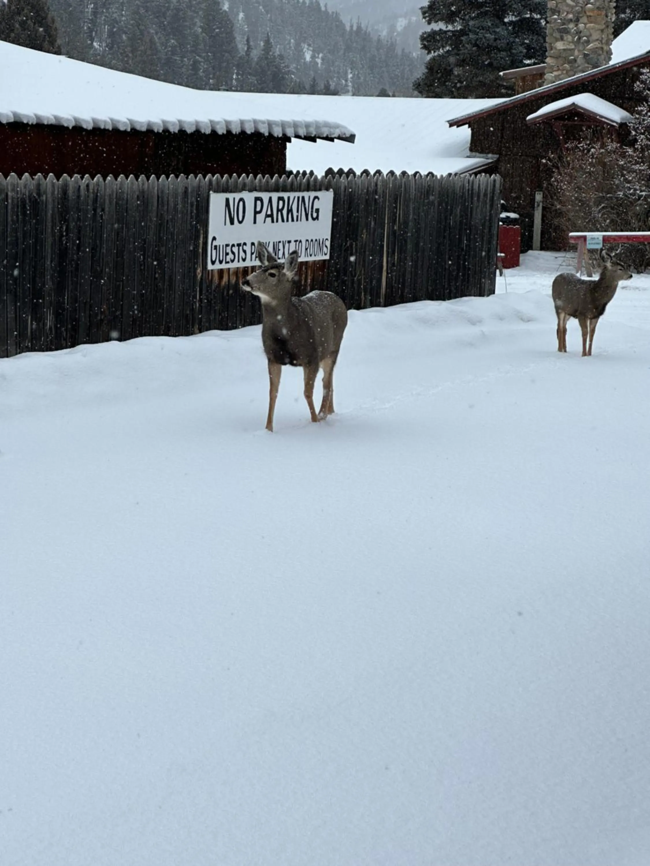 Property building in Deer Lodge