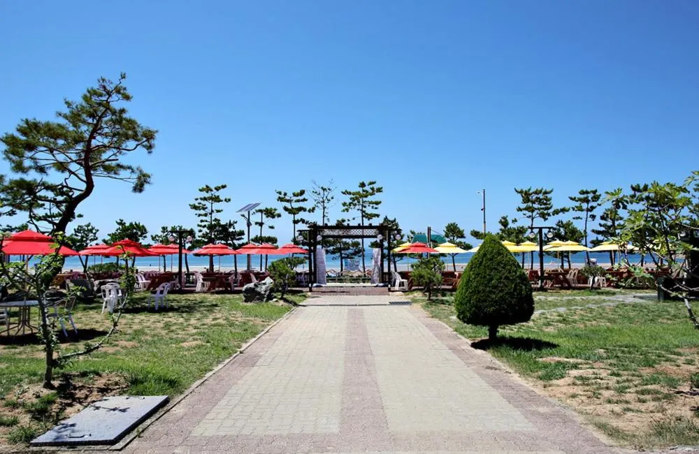 Sea view in Hotel Mallipo