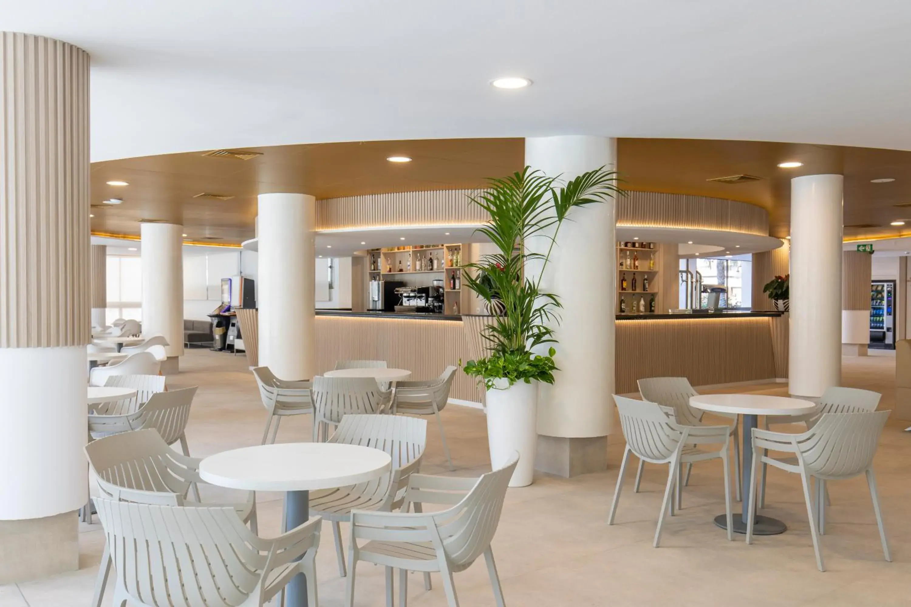 Lounge or bar in Hotel Rosamar Lounge or bar in Hotel Rosamar