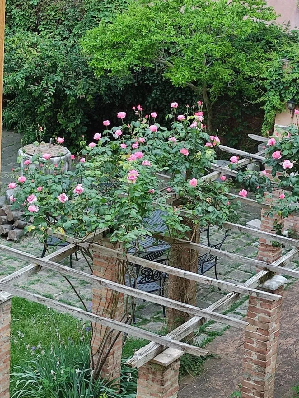 Garden in B&b Vista sul Canal Grande