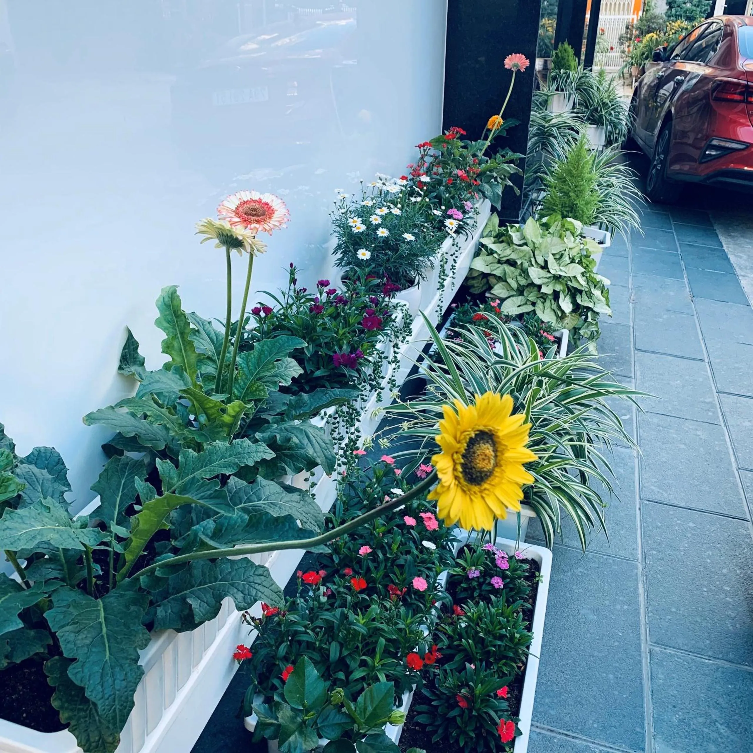 Garden in Dalat Eco Hotel