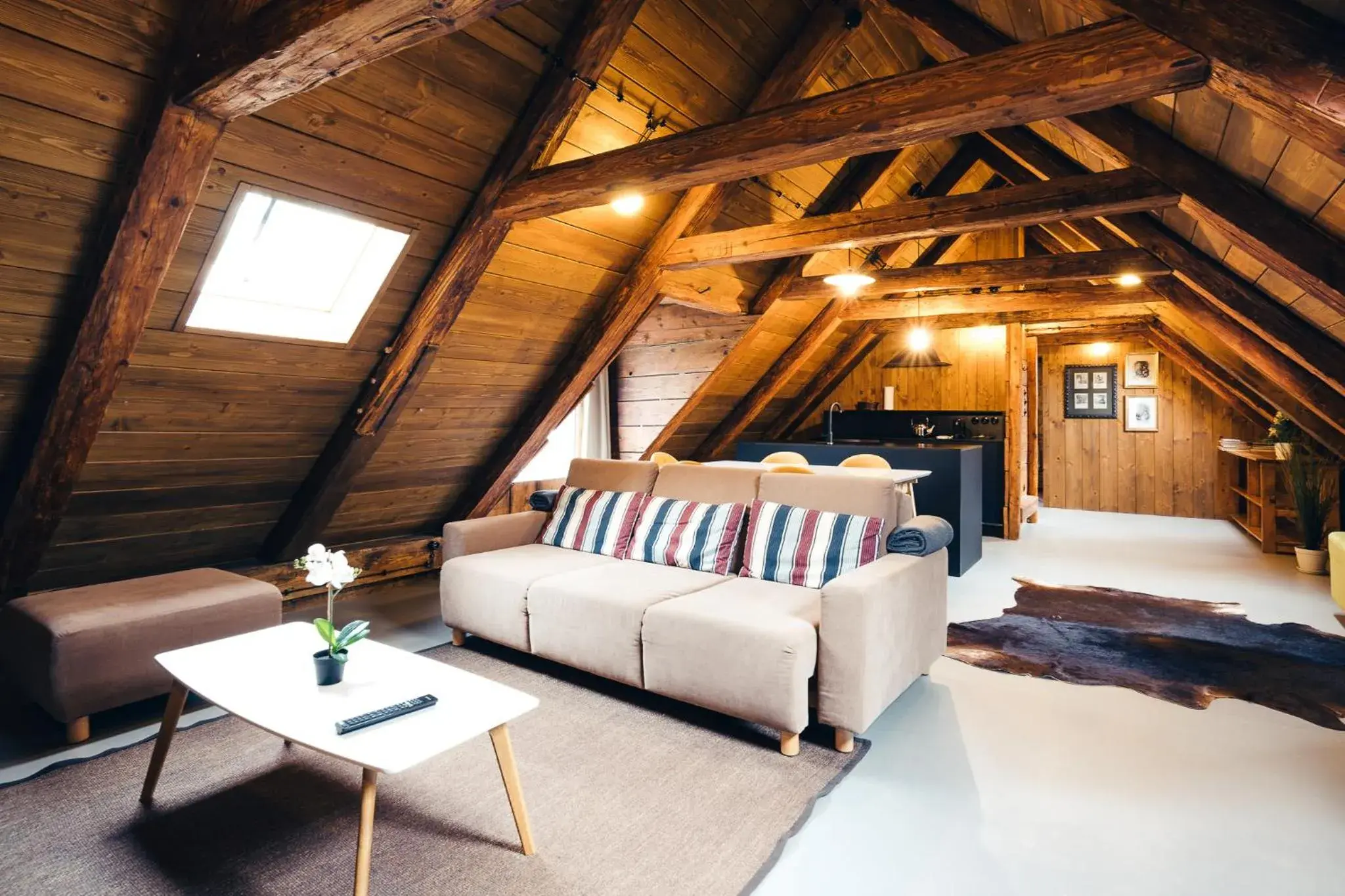 Studio Apartment in Aparthotel & Wellness Knížecí cesta Studio Apartment in Aparthotel & Wellness Knížecí cesta