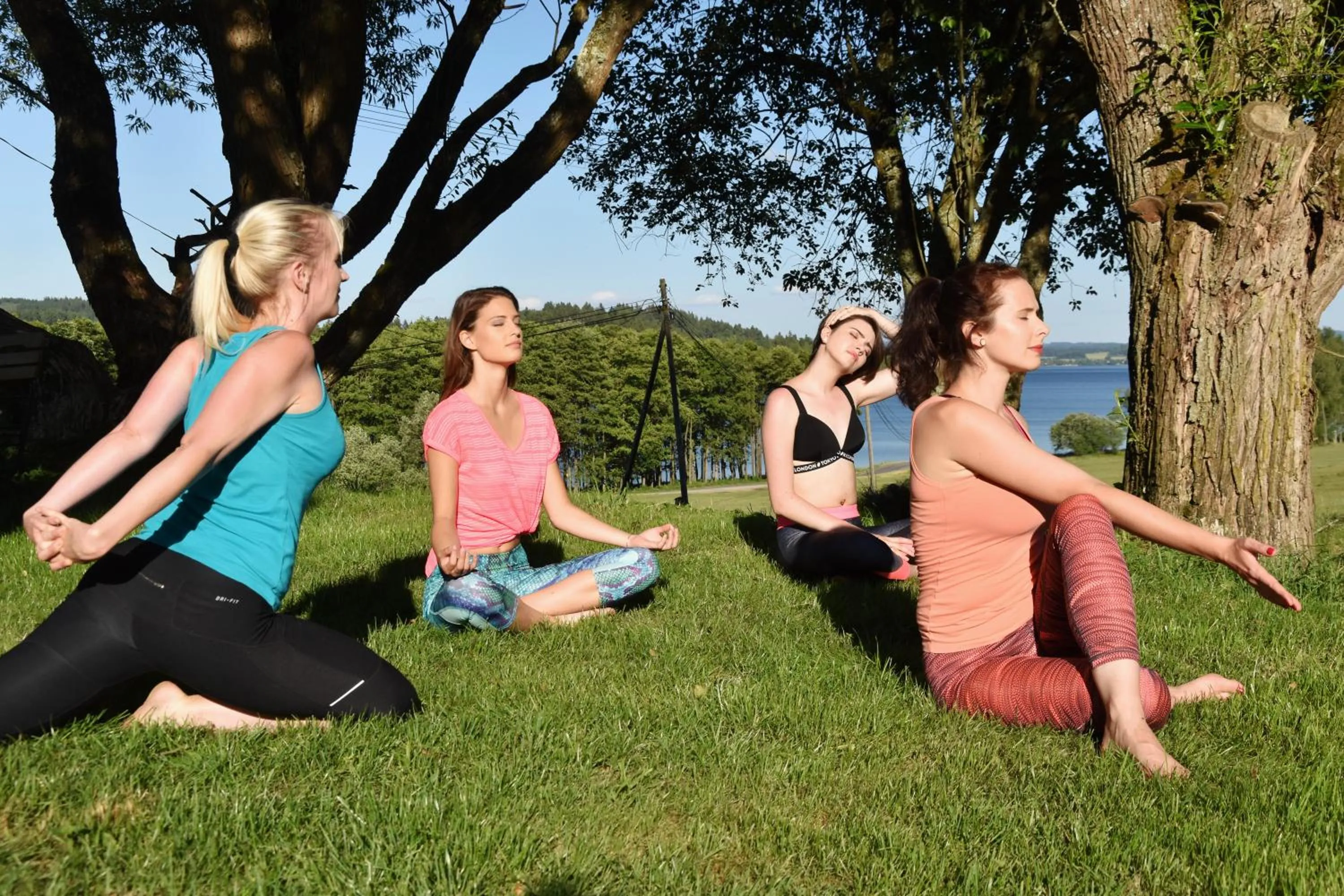 Natural landscape in Aparthotel & Wellness Knížecí cesta