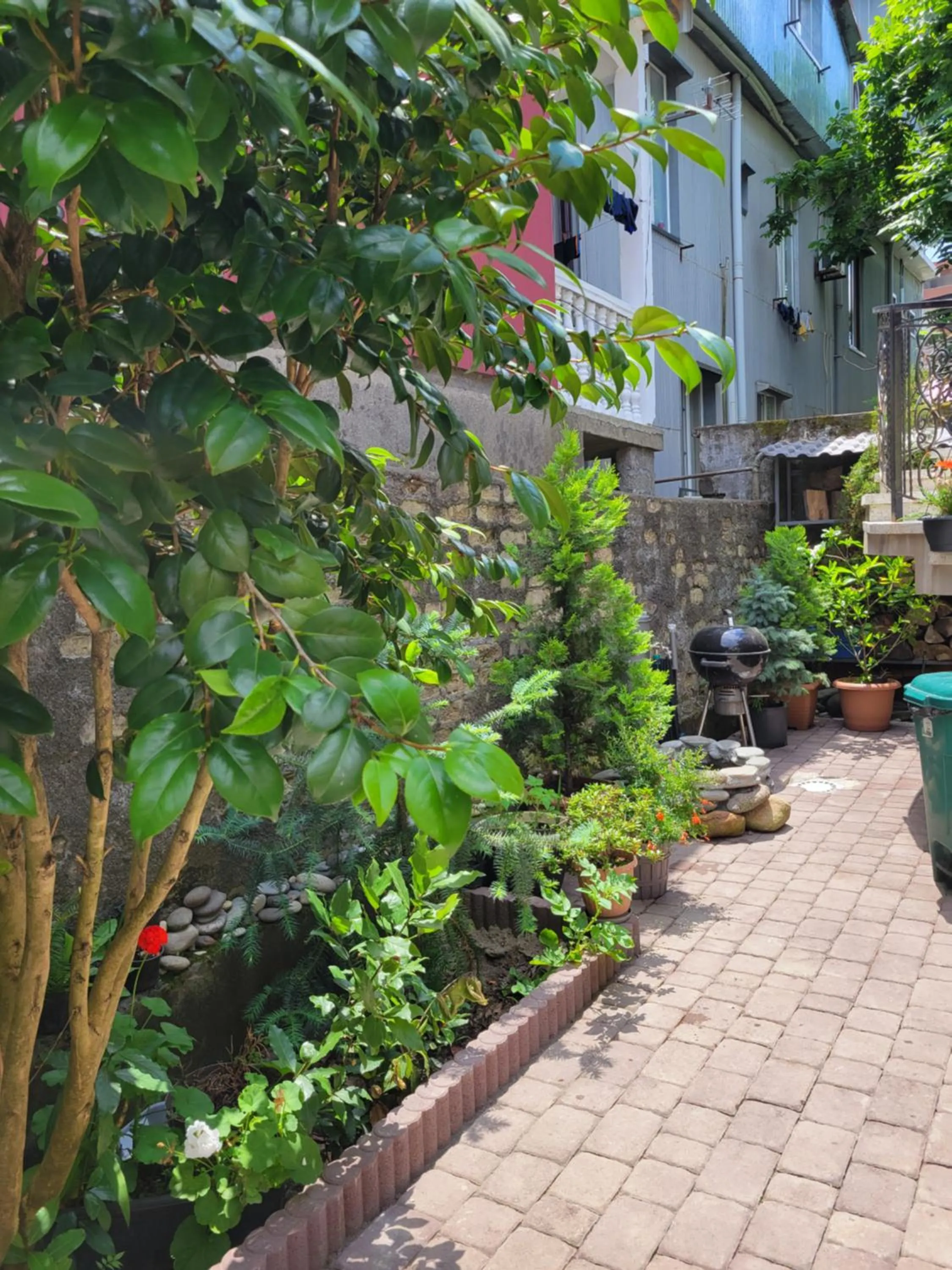 Guest house Agmashenebeli 229