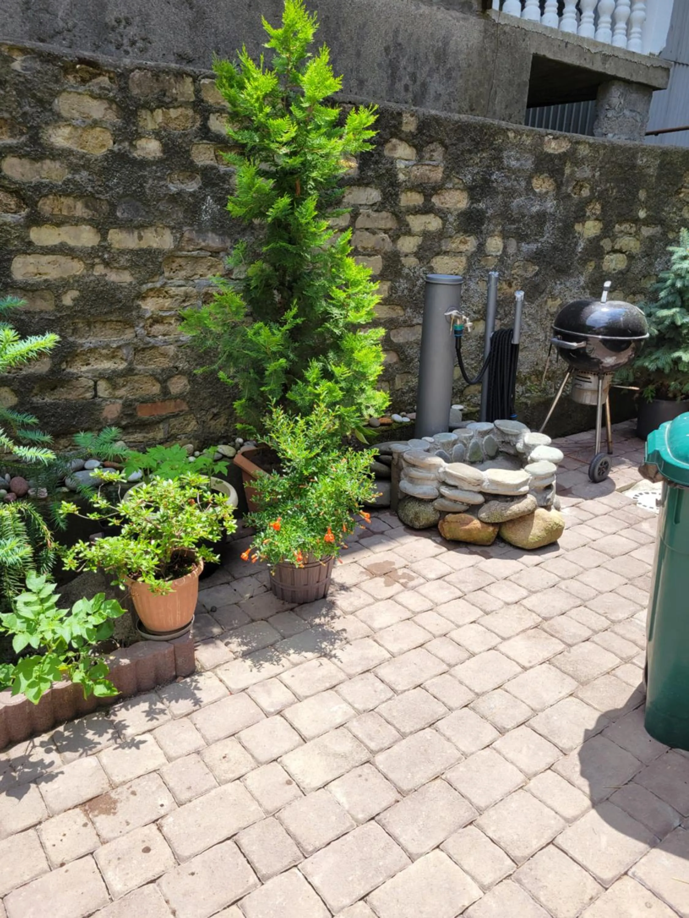 Garden in Guest house Agmashenebeli 229