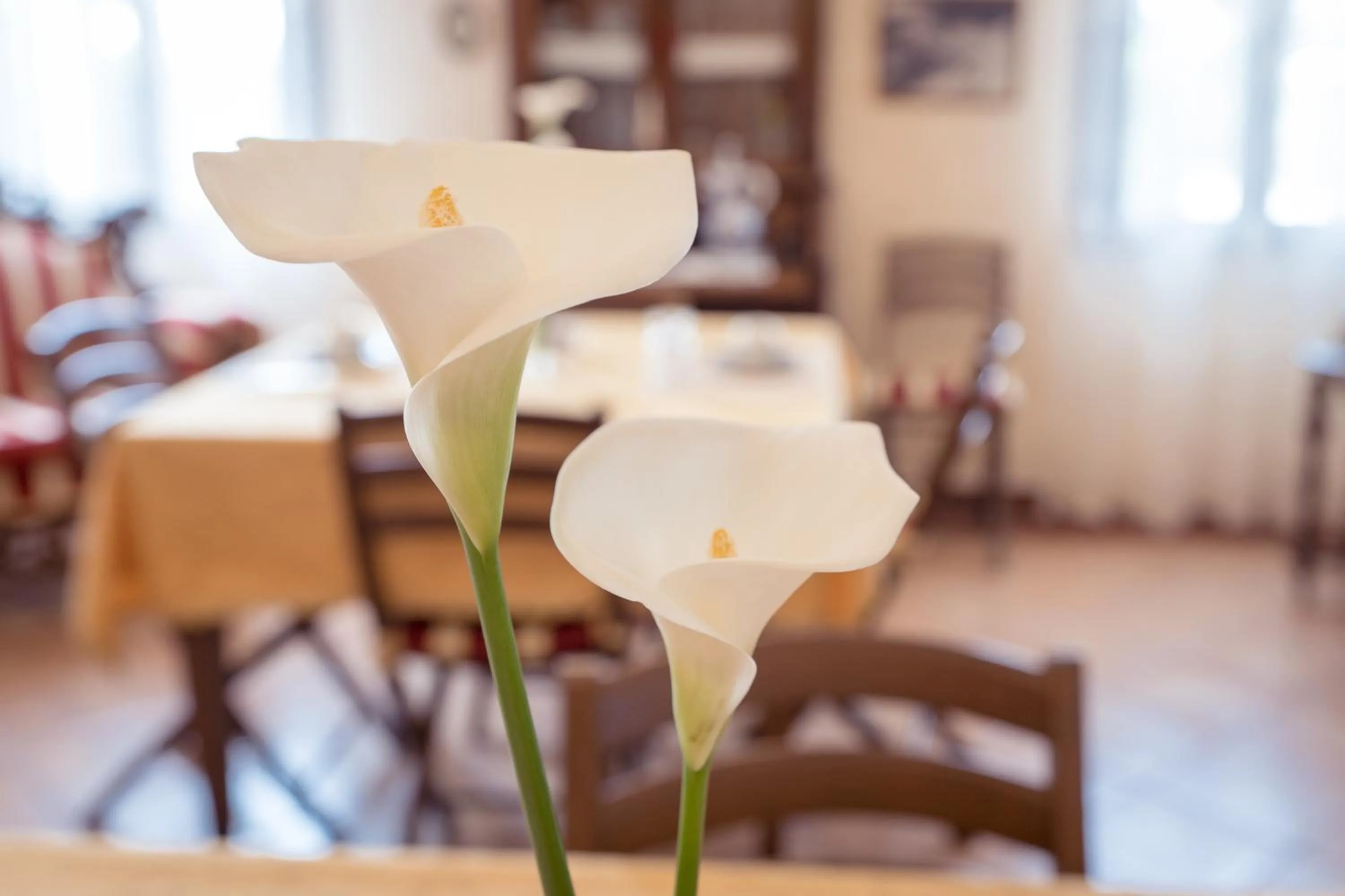 Communal lounge/ TV room in AgriB&B Corte Burchio