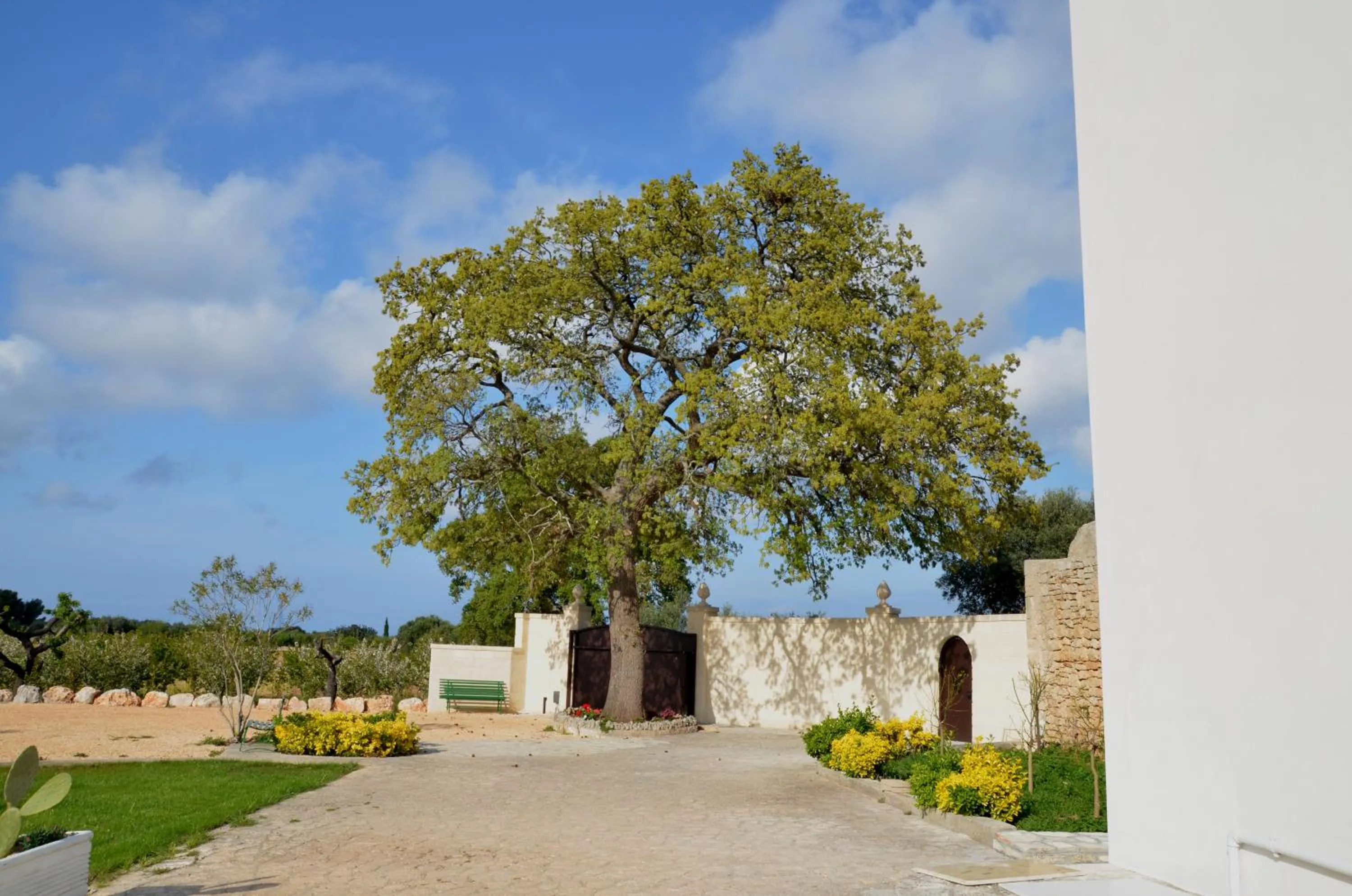 Garden in Masseria Poli Country House