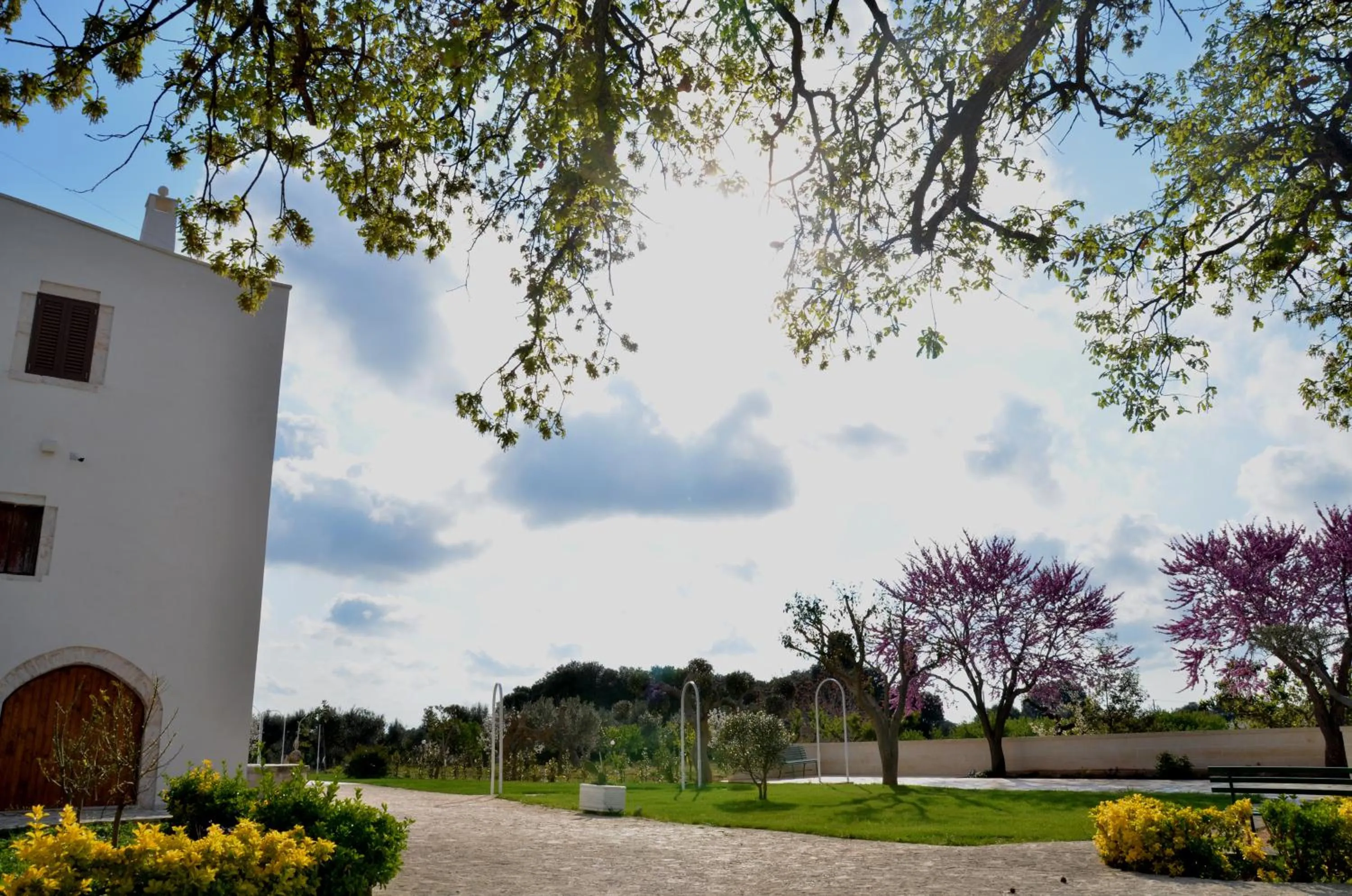 Garden in Masseria Poli Country House