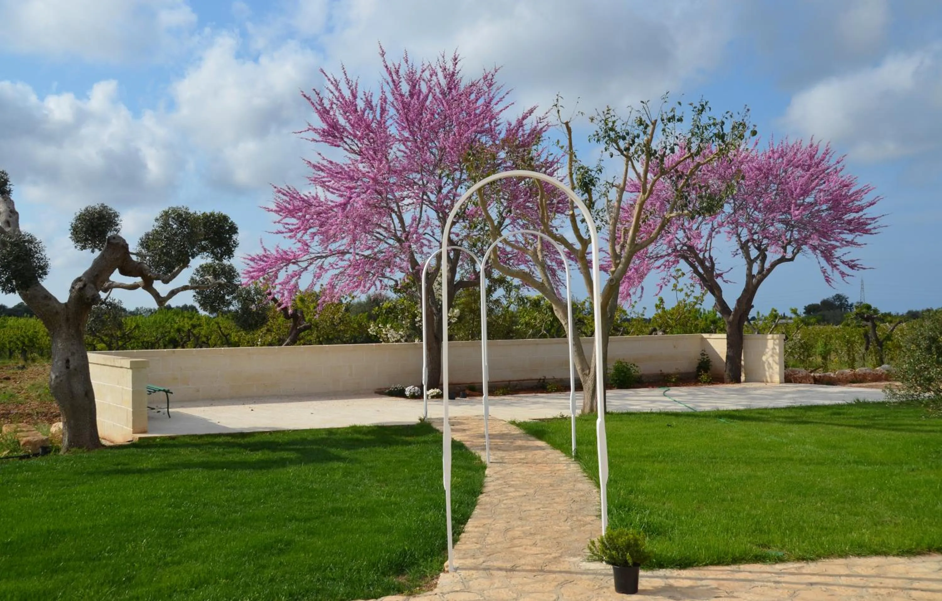 Garden in Masseria Poli Country House