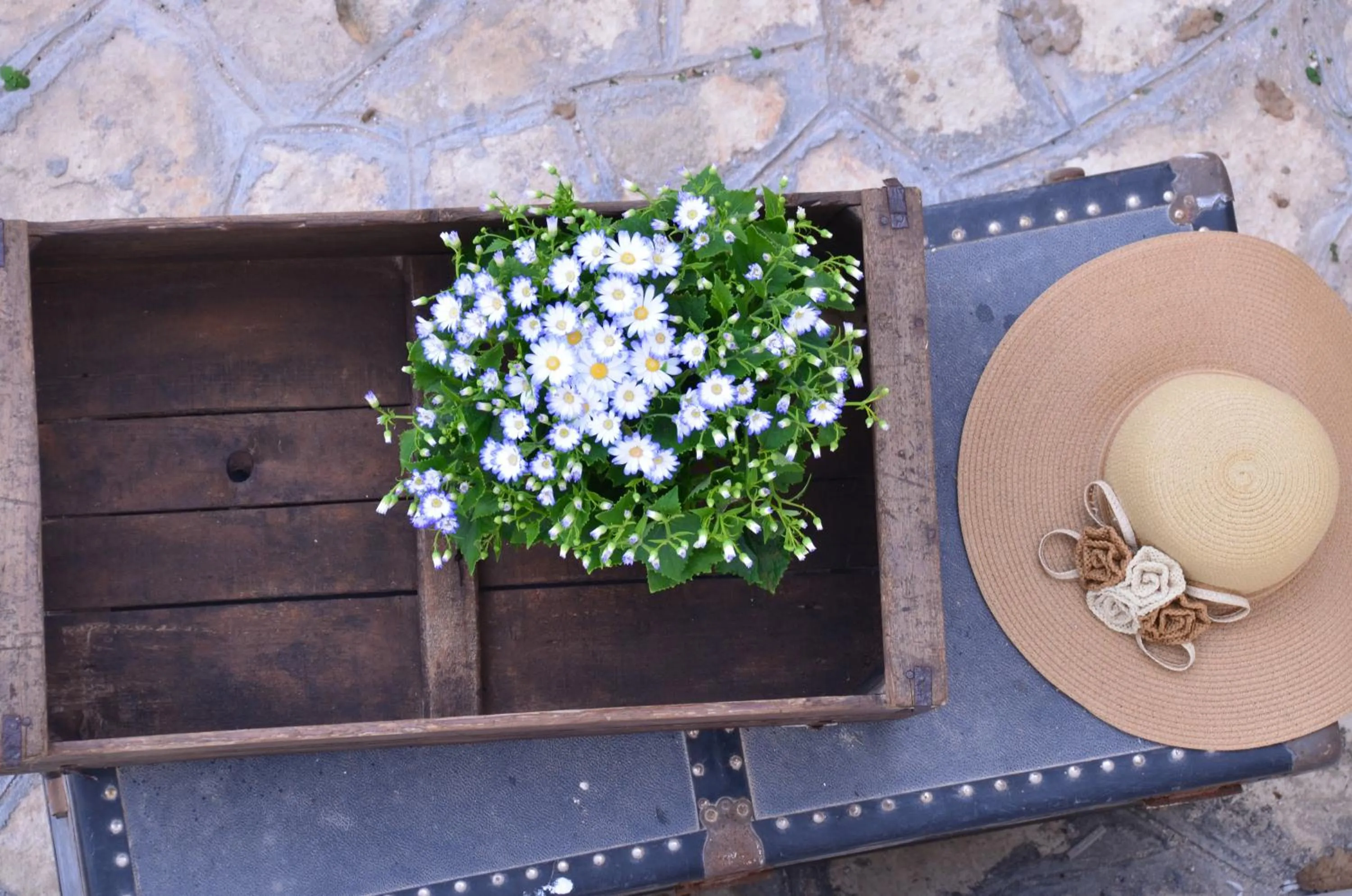 Decorative detail in Masseria Poli Country House