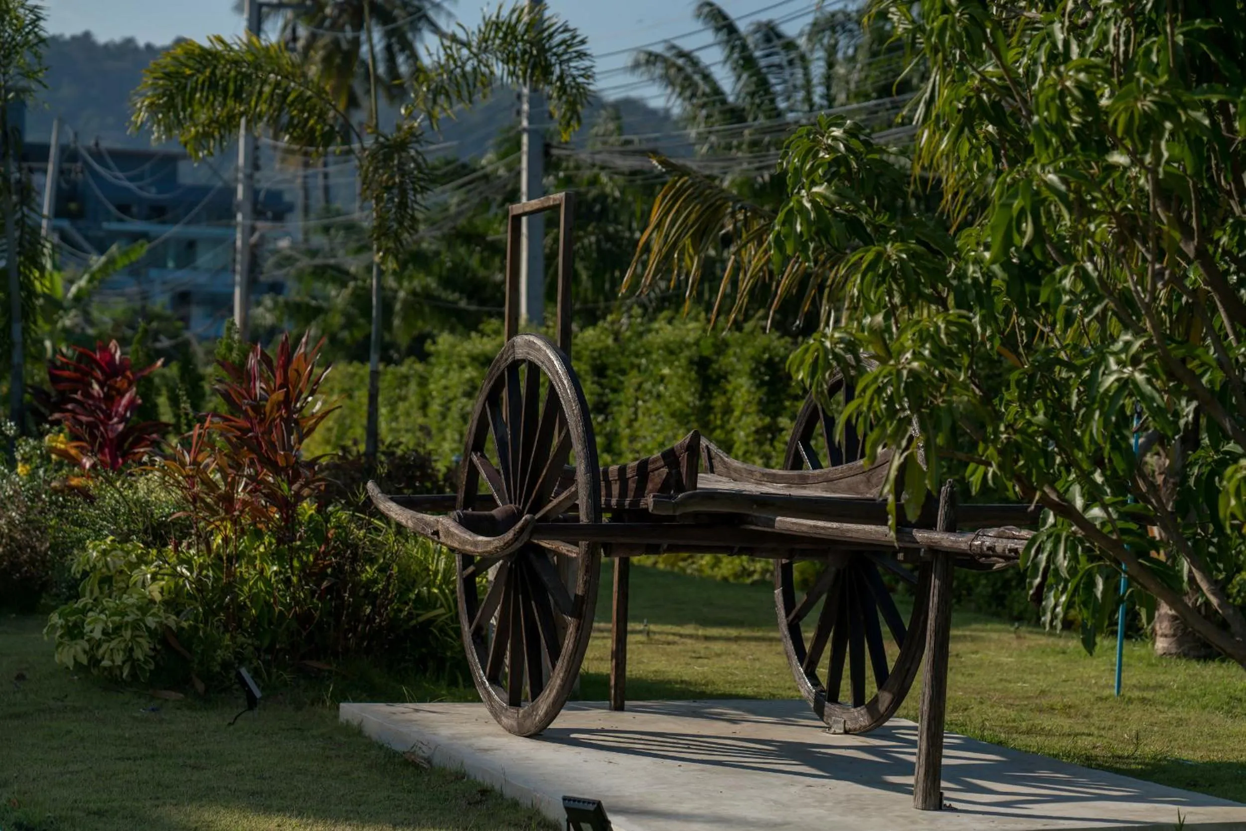 Garden in The Orchid Villa