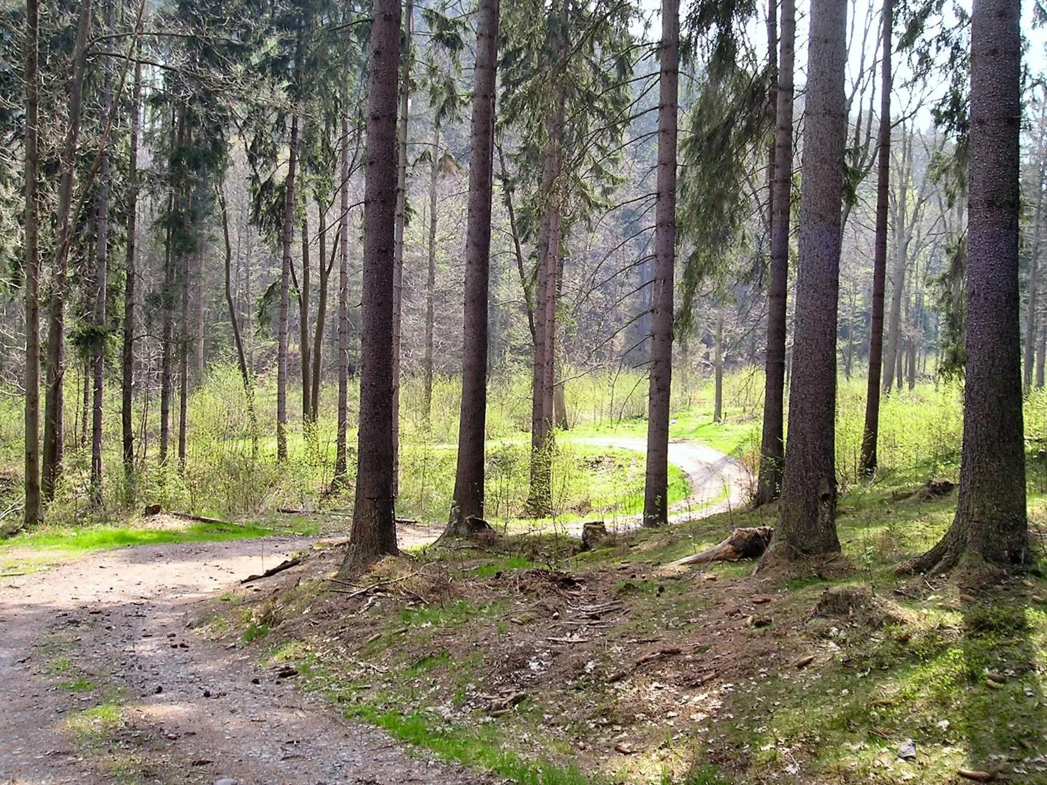 Dom Gościnny pod Zamkiem Wleń
