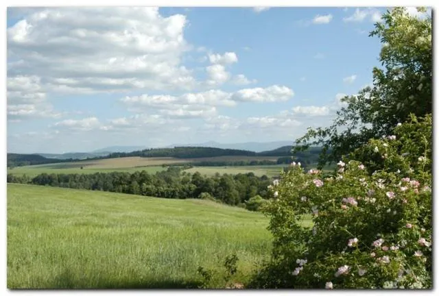 Dom Gościnny pod Zamkiem Wleń