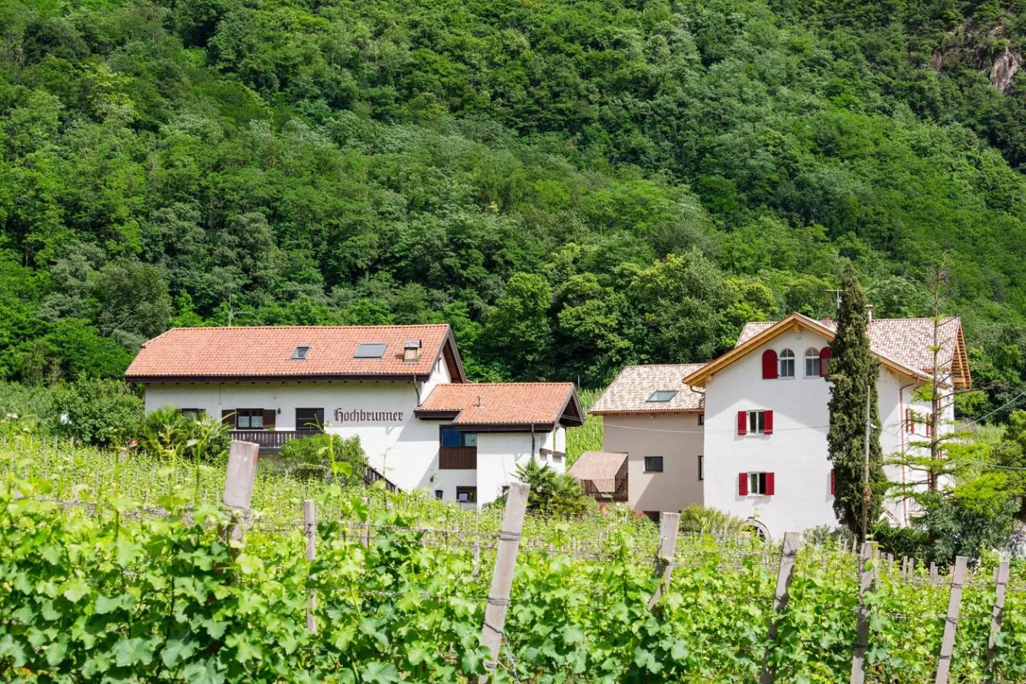 Ferienwohnungen Hochbrunner