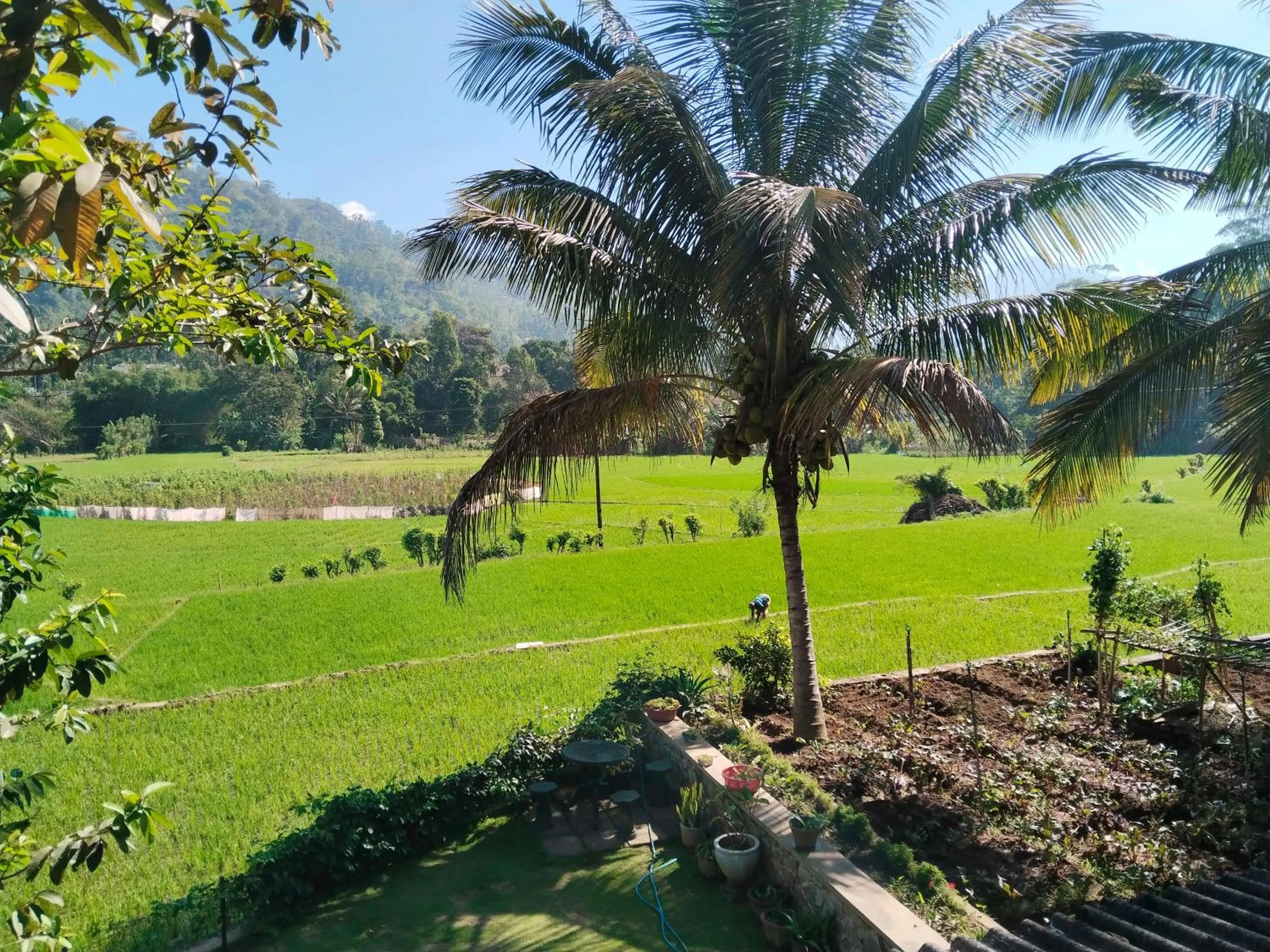 Deluxe Family Room in Ella Nature valley homestay