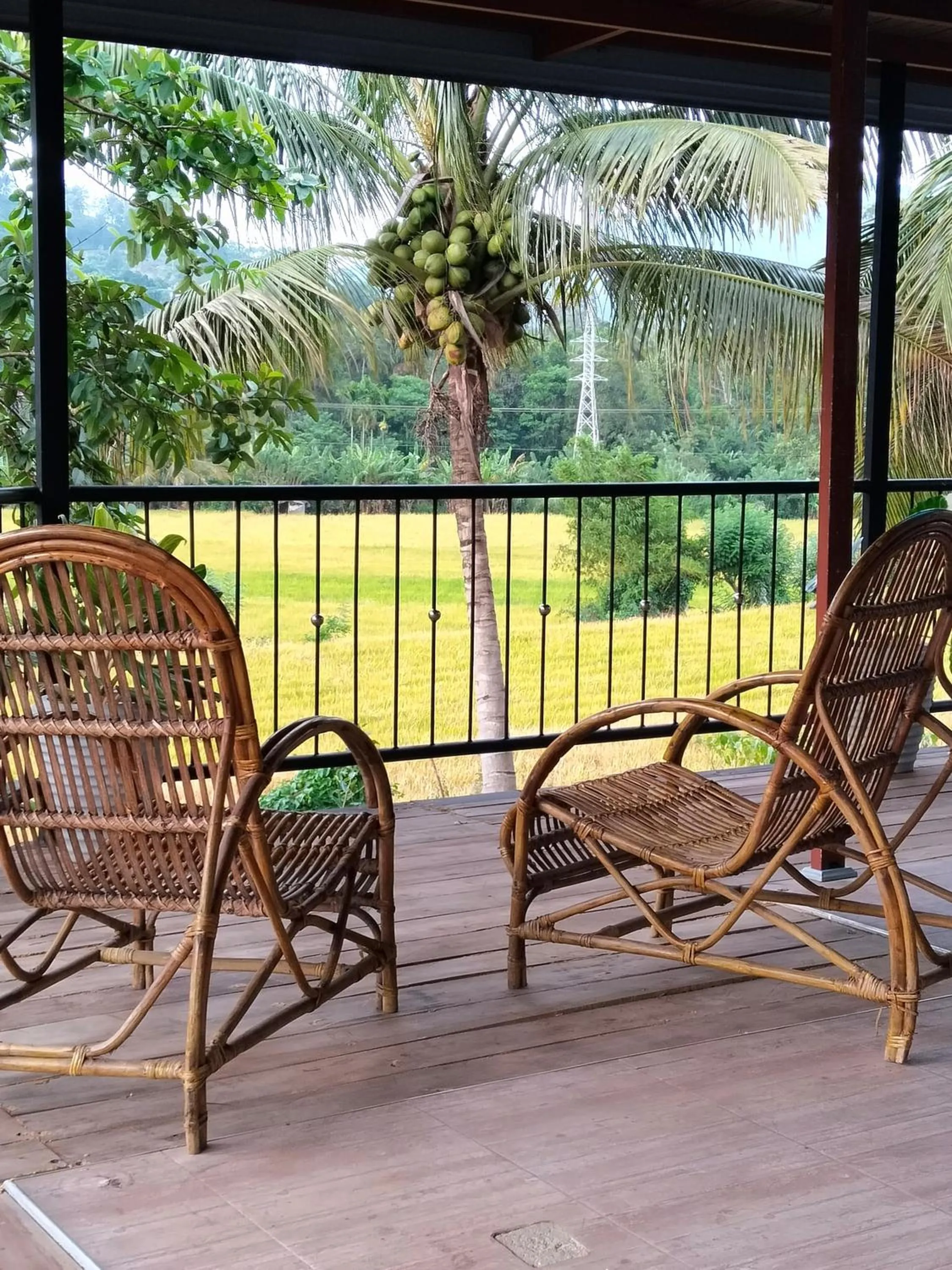 Ella Nature valley homestay