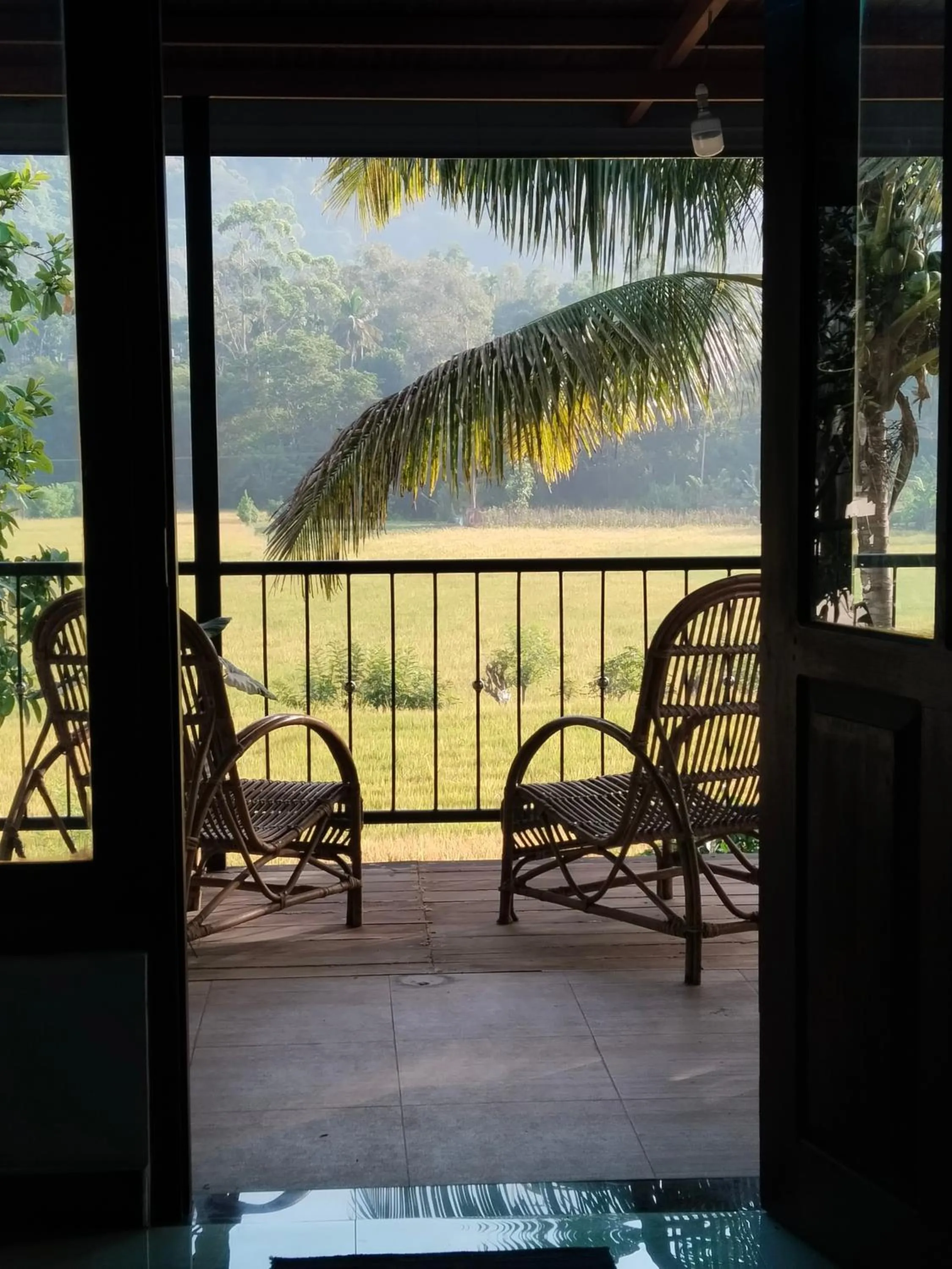 Ella Nature valley homestay