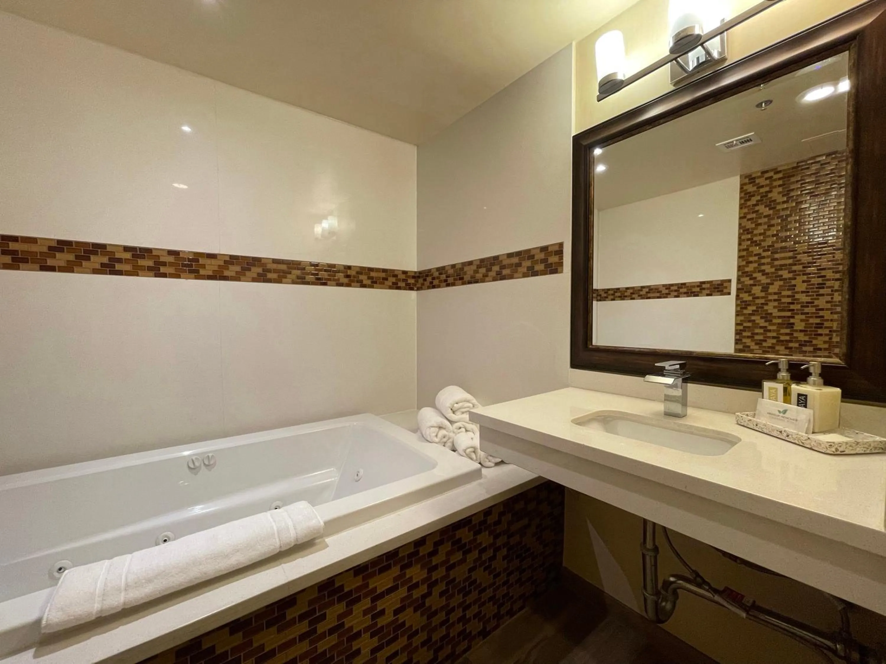 Bathroom in The Hotel Fullerton Anaheim