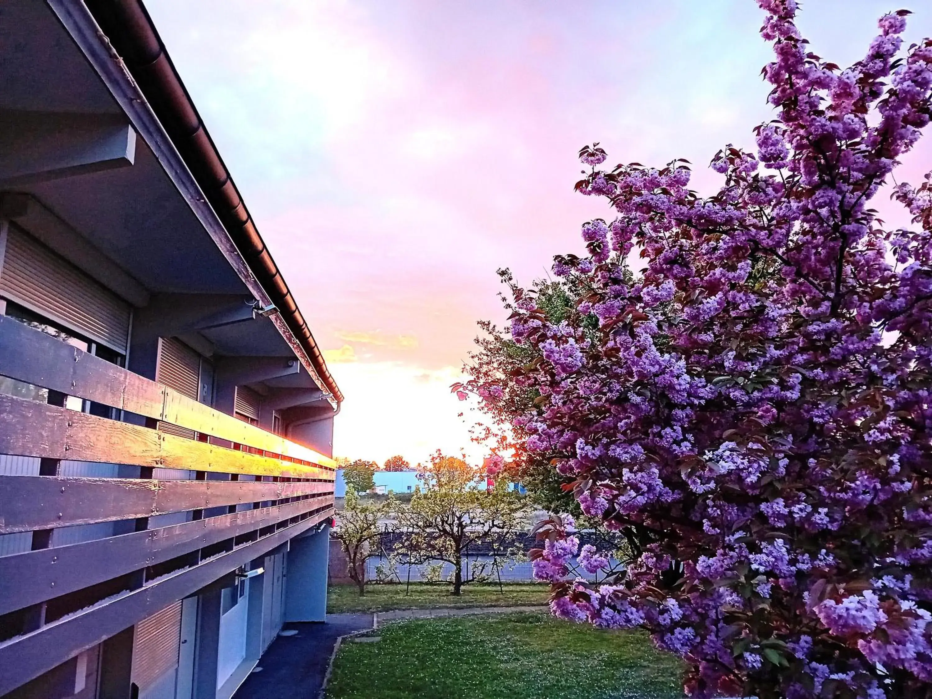 Garden view in Hôtel Inn Design Laval Garden view in Hôtel Inn Design Laval
