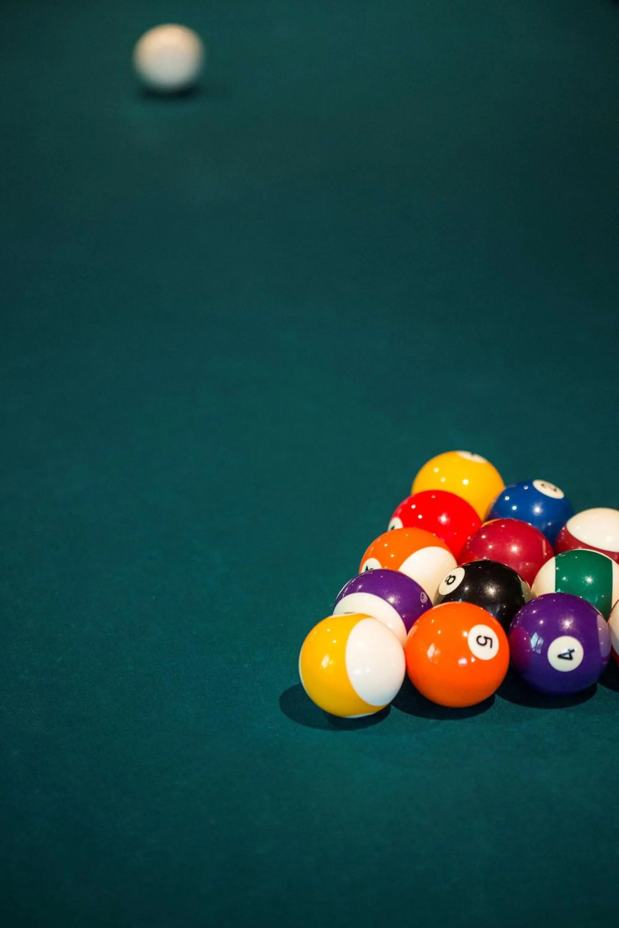 Activities in Hyatt Regency Amsterdam