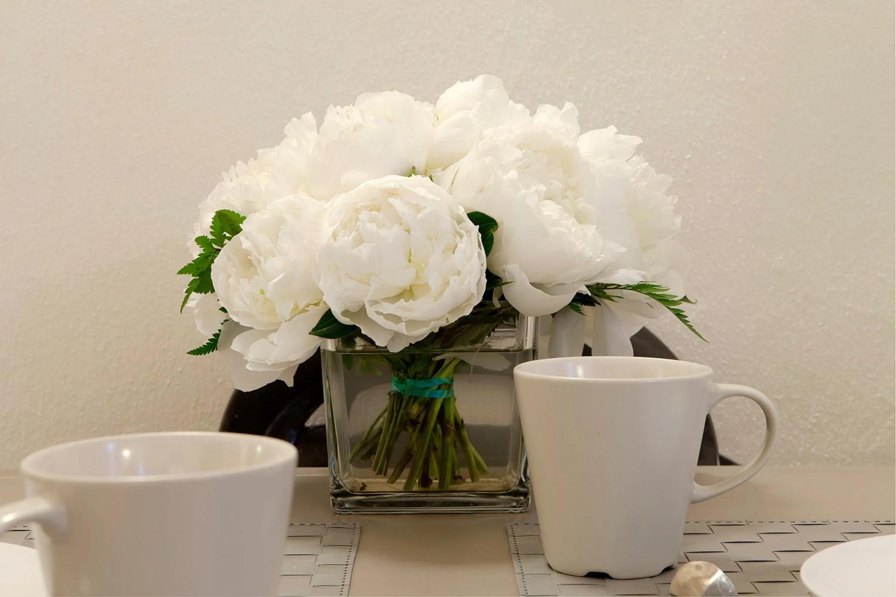 Area and facilities in Windows On Florence