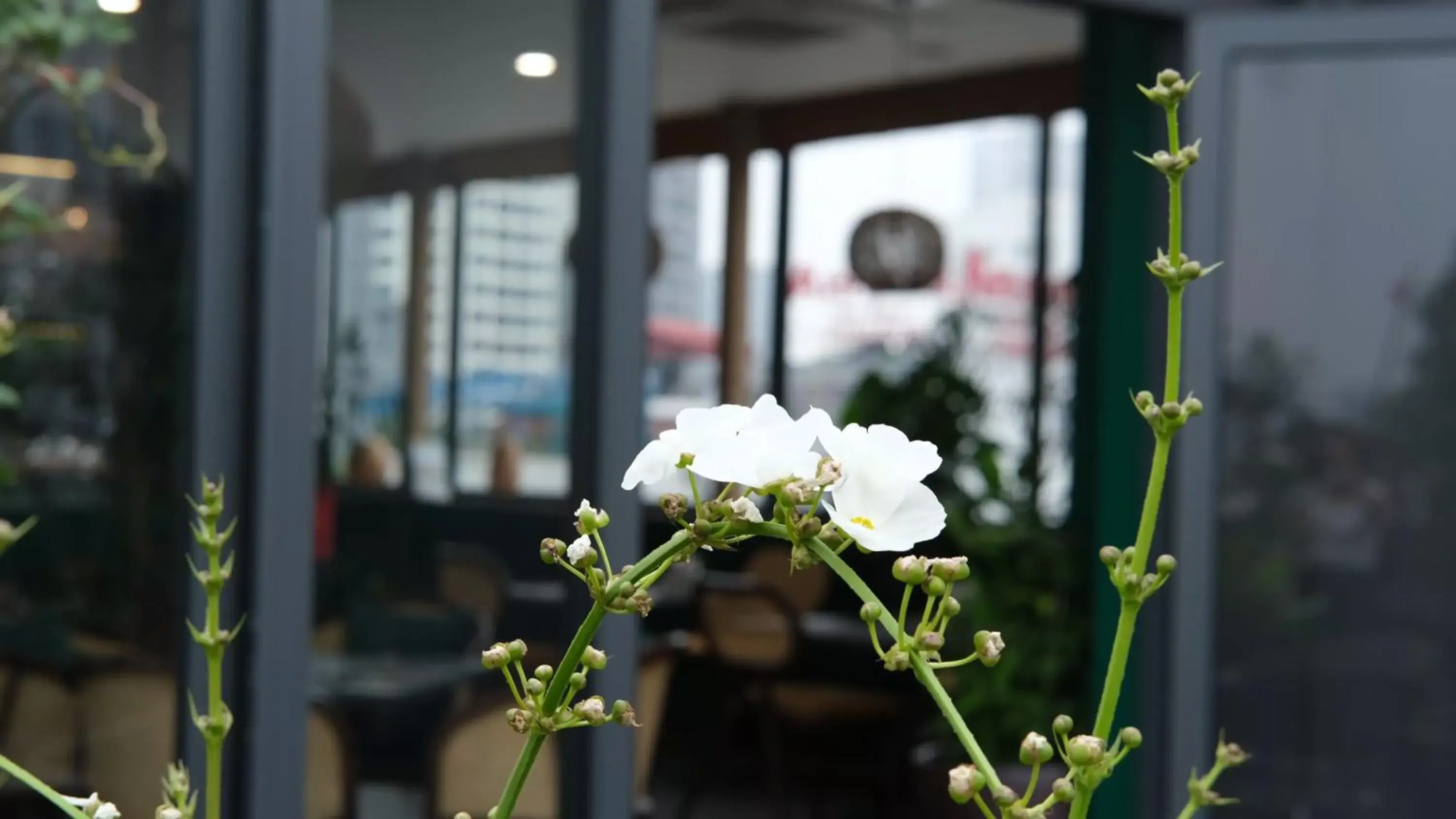 Restaurant/places to eat in The Bloom Classic - An Excellent Blend of Cozy Living and Urban Relaxation Restaurant/places to eat in The Bloom Classic - An Excellent Blend of Cozy Living and Urban Relaxation