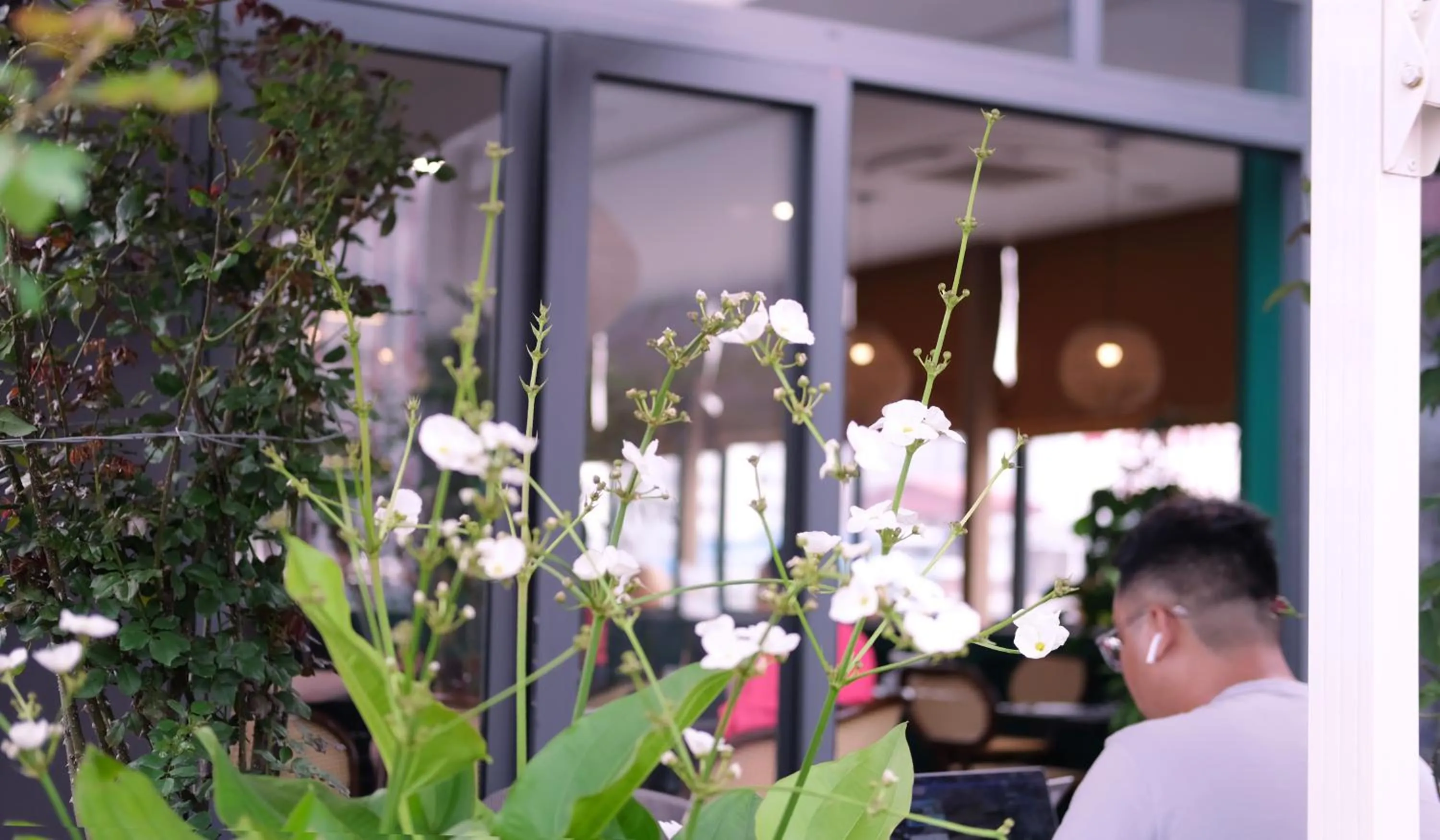 Restaurant/places to eat in The Bloom Classic - An Excellent Blend of Cozy Living and Urban Relaxation