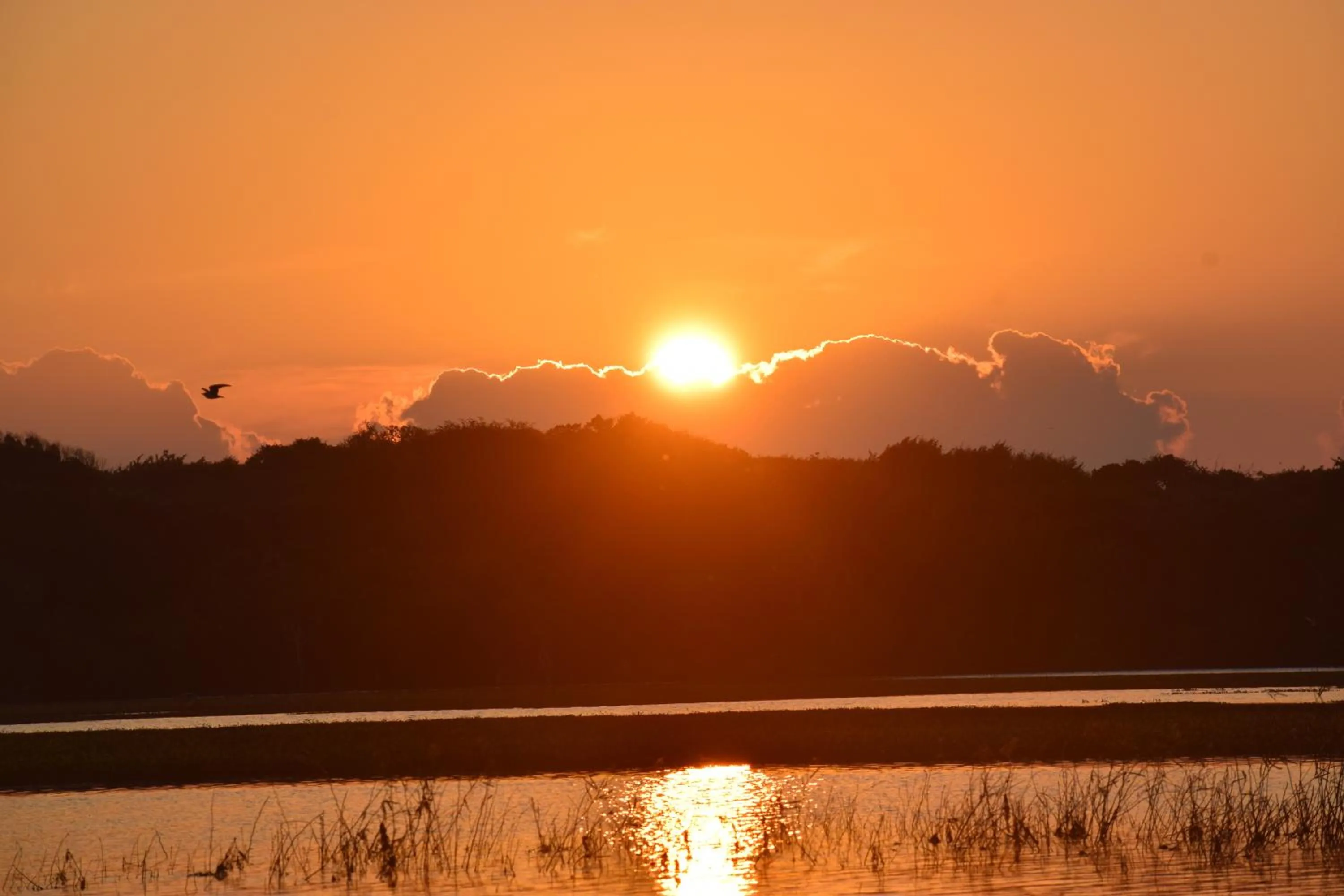 Staff in LakeSide Cabana Tissamaharama