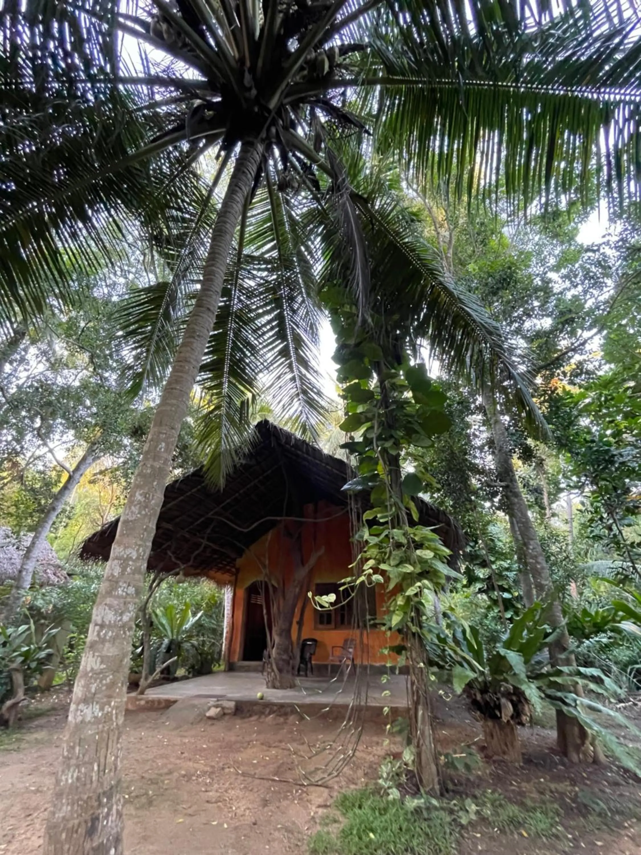 Property building in LakeSide Cabana Tissamaharama