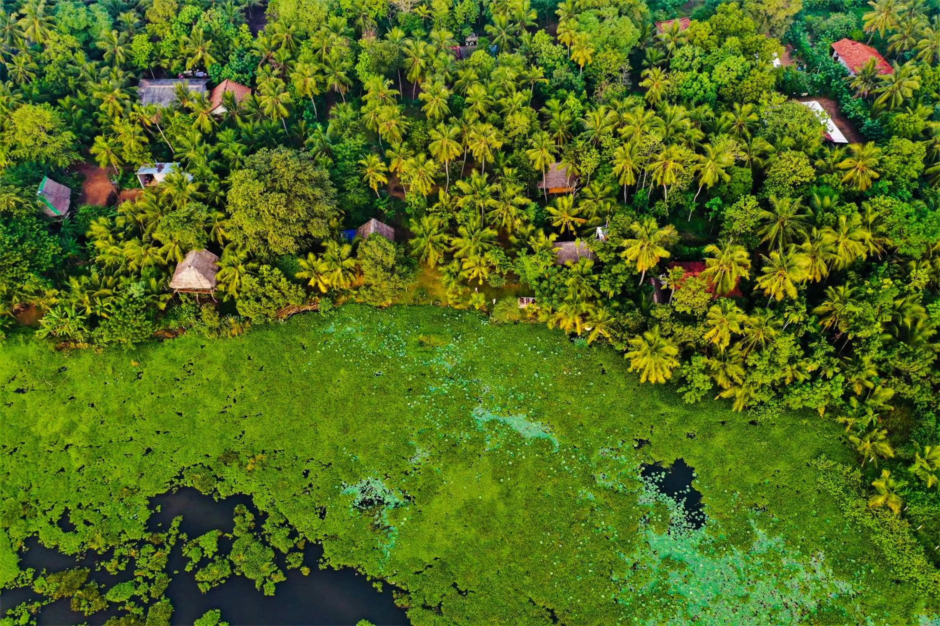 Lake view in LakeSide Cabana Tissamaharama