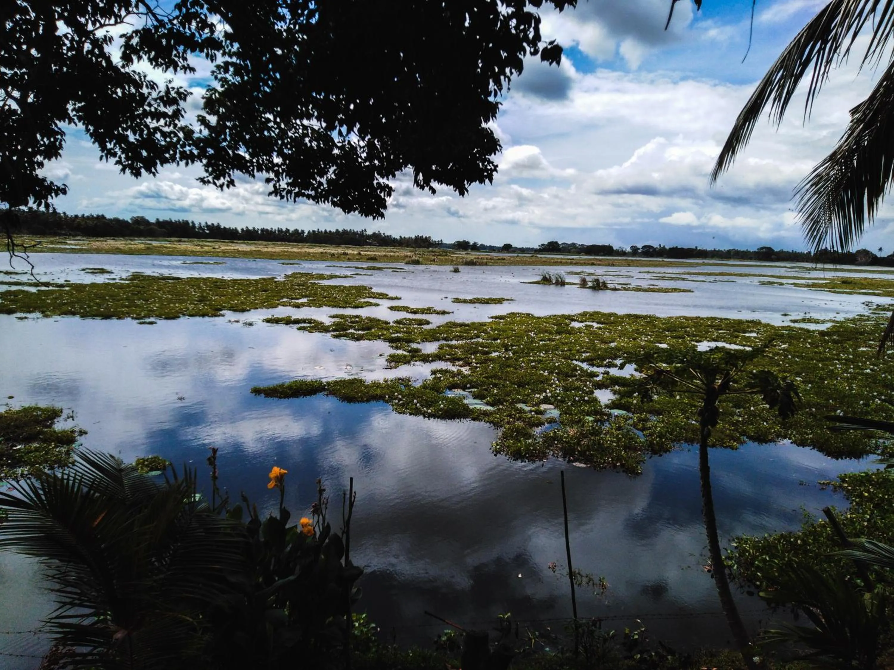 Natural landscape in LakeSide Cabana Tissamaharama