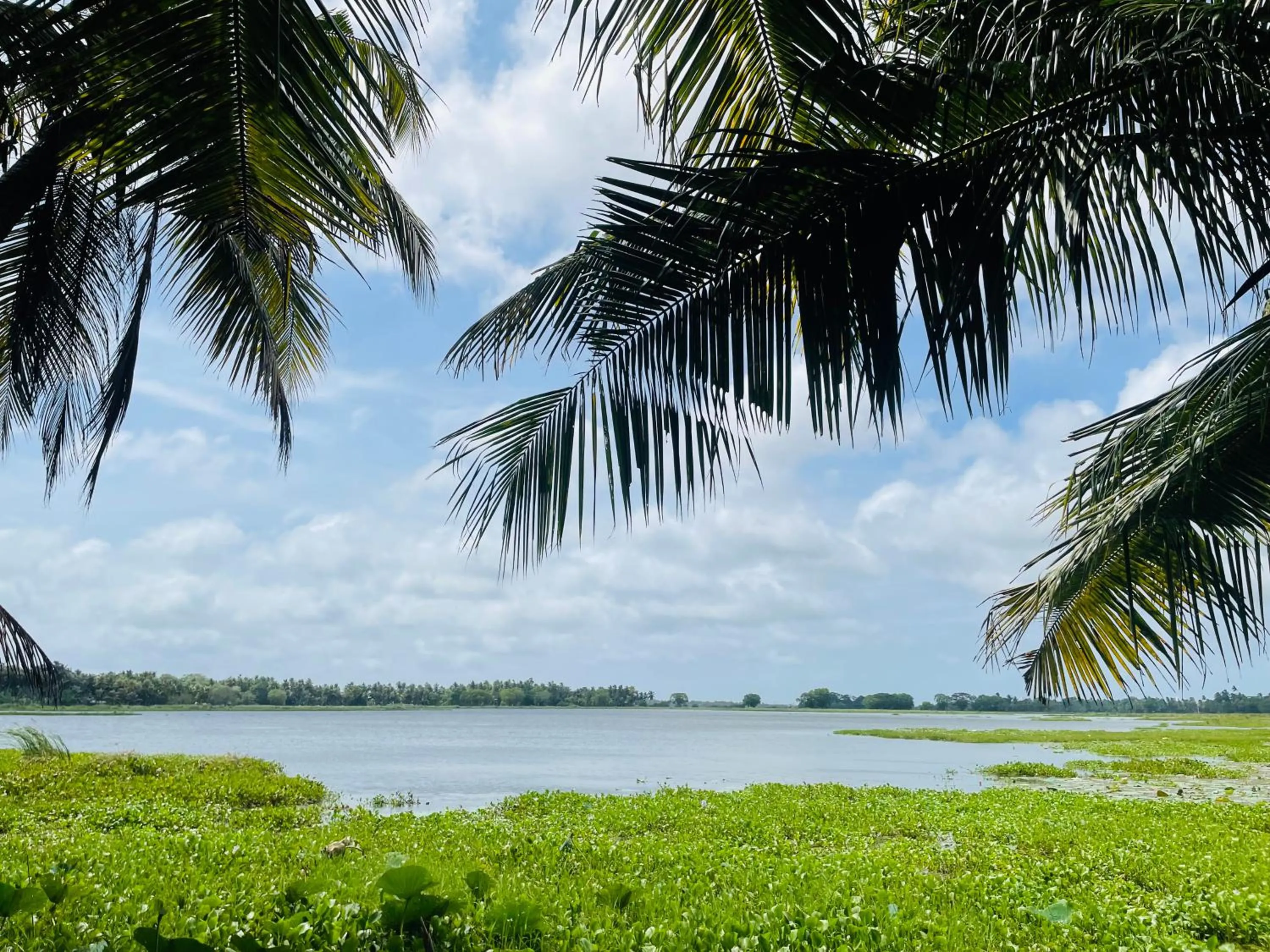 Day in LakeSide Cabana Tissamaharama