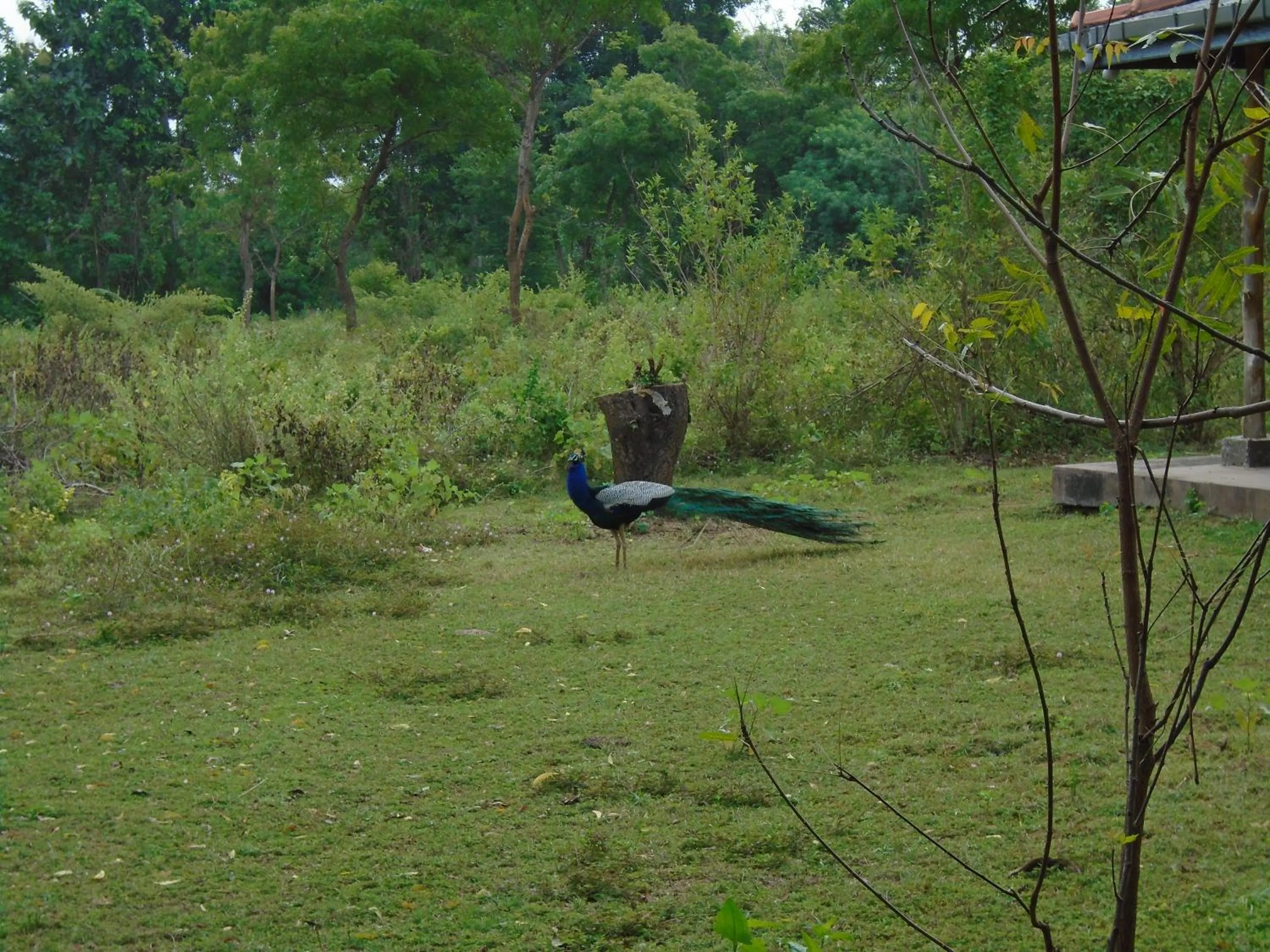Natural landscape in Katagamuwa Rest