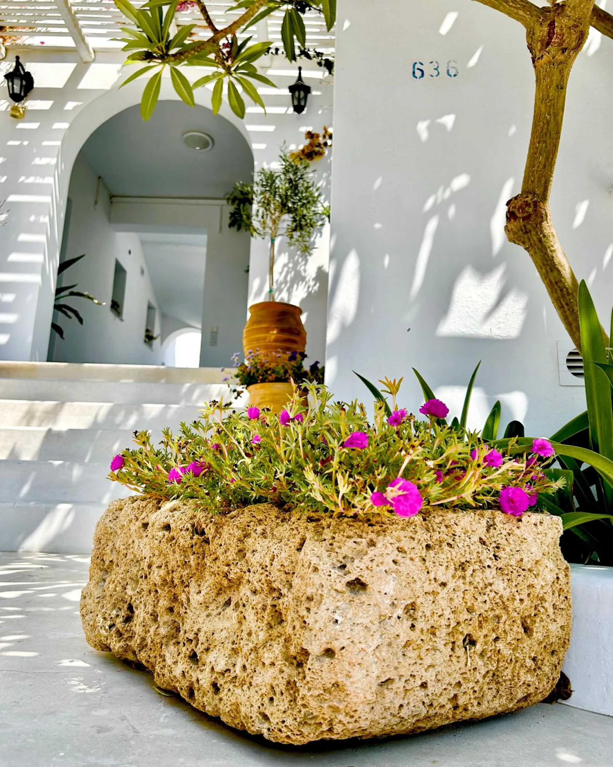 Property building in Anita Rooms & Suites Milos