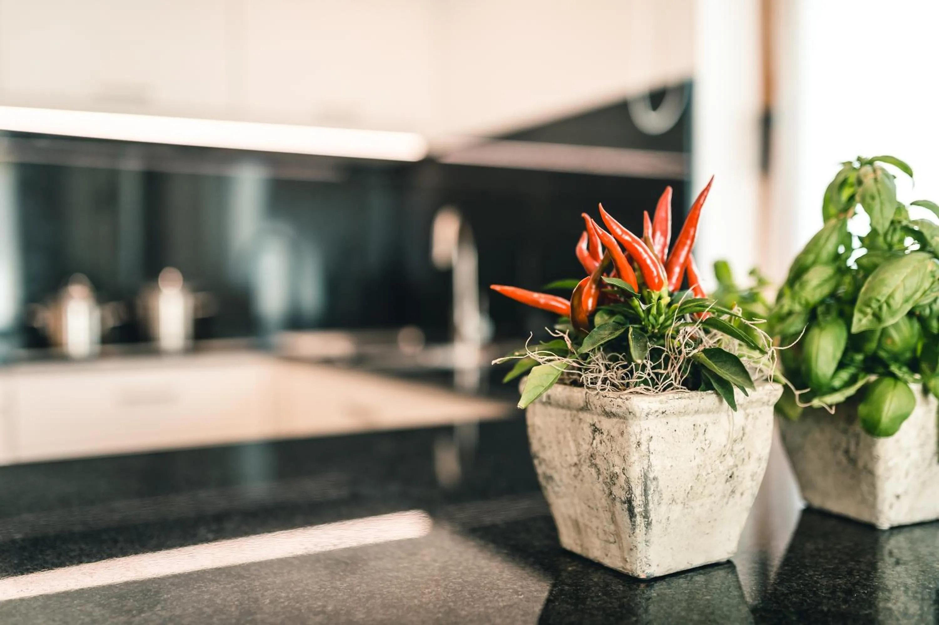 Decorative detail in Lüch de Costa