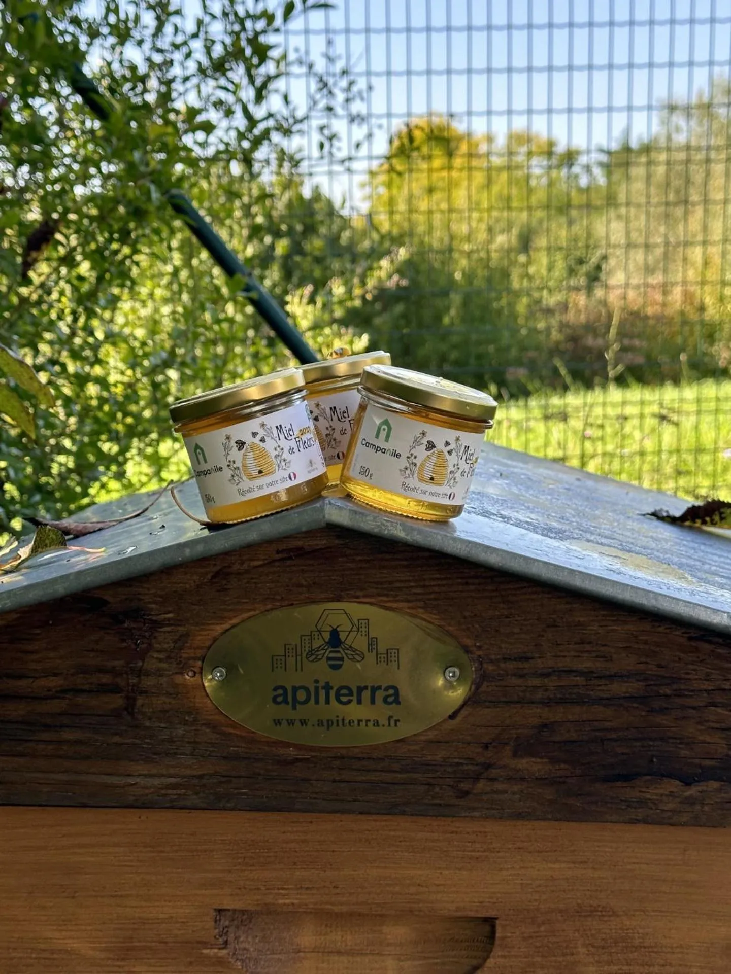 Restaurant/places to eat in Campanile Melun Sénart