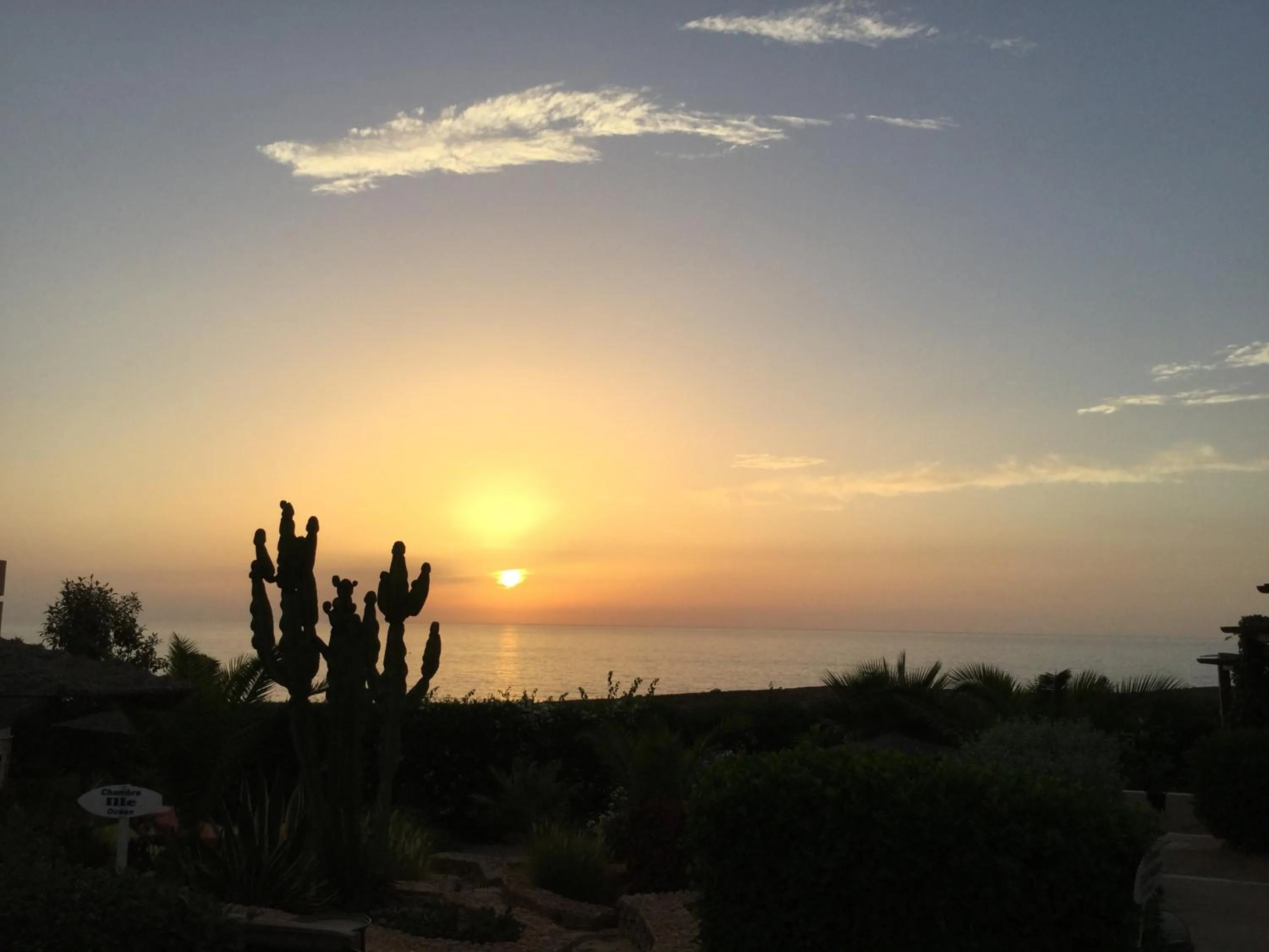 Garden in Aftas Trip