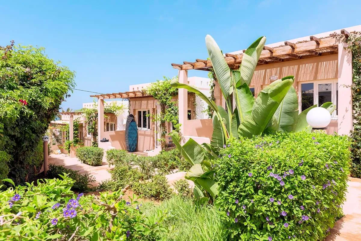 Garden in Aftas Trip