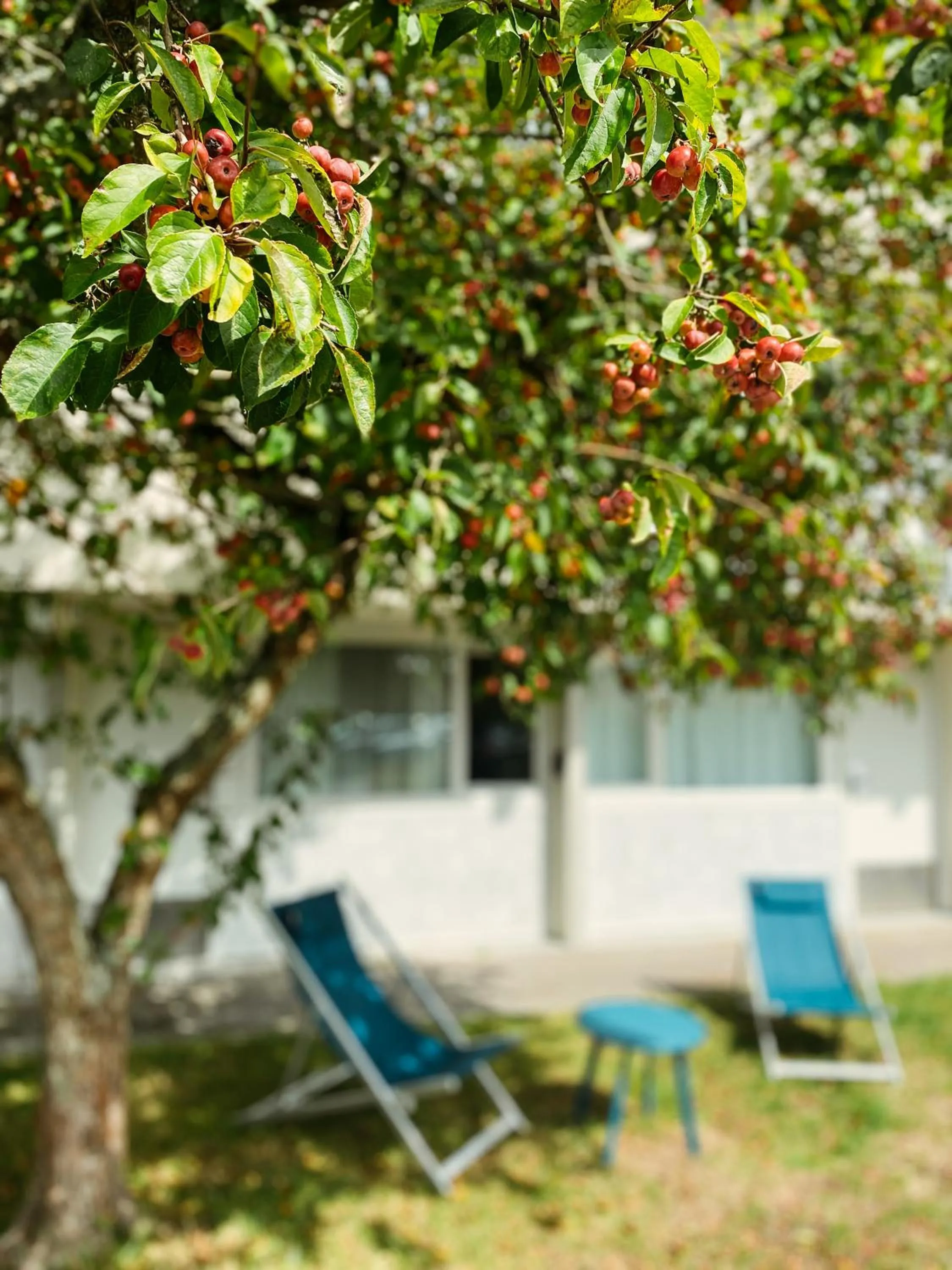 Brit Hotel Quimper Sud