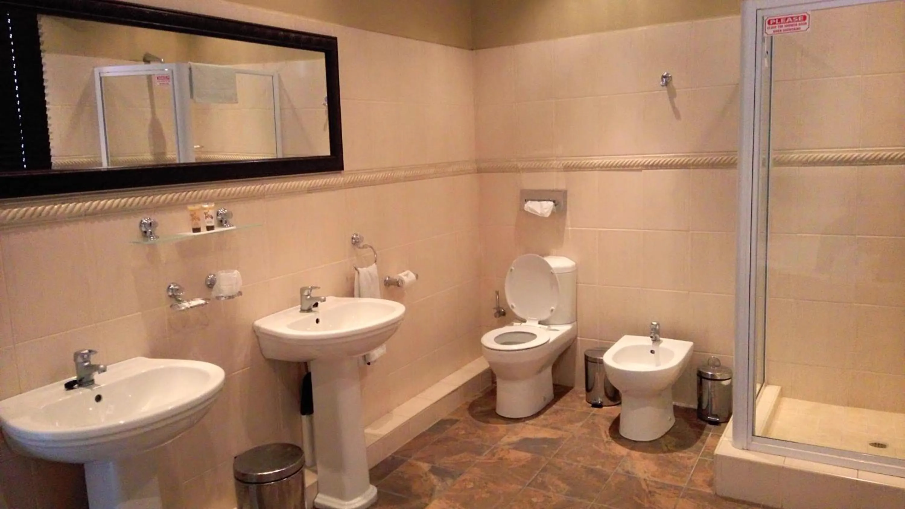 Toilet in Royal Hotel Ladysmith