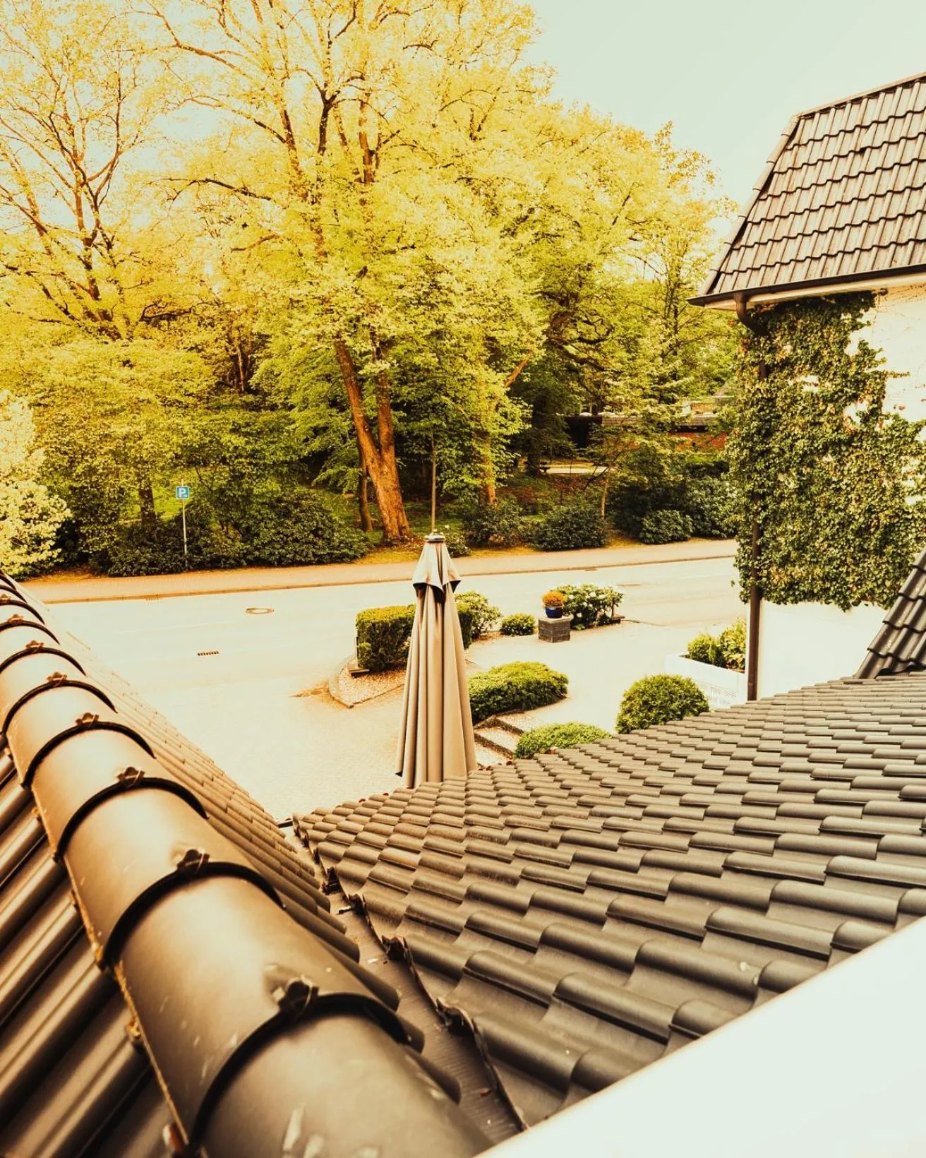 Schlosspark-Hotel Hof von Oldenburg