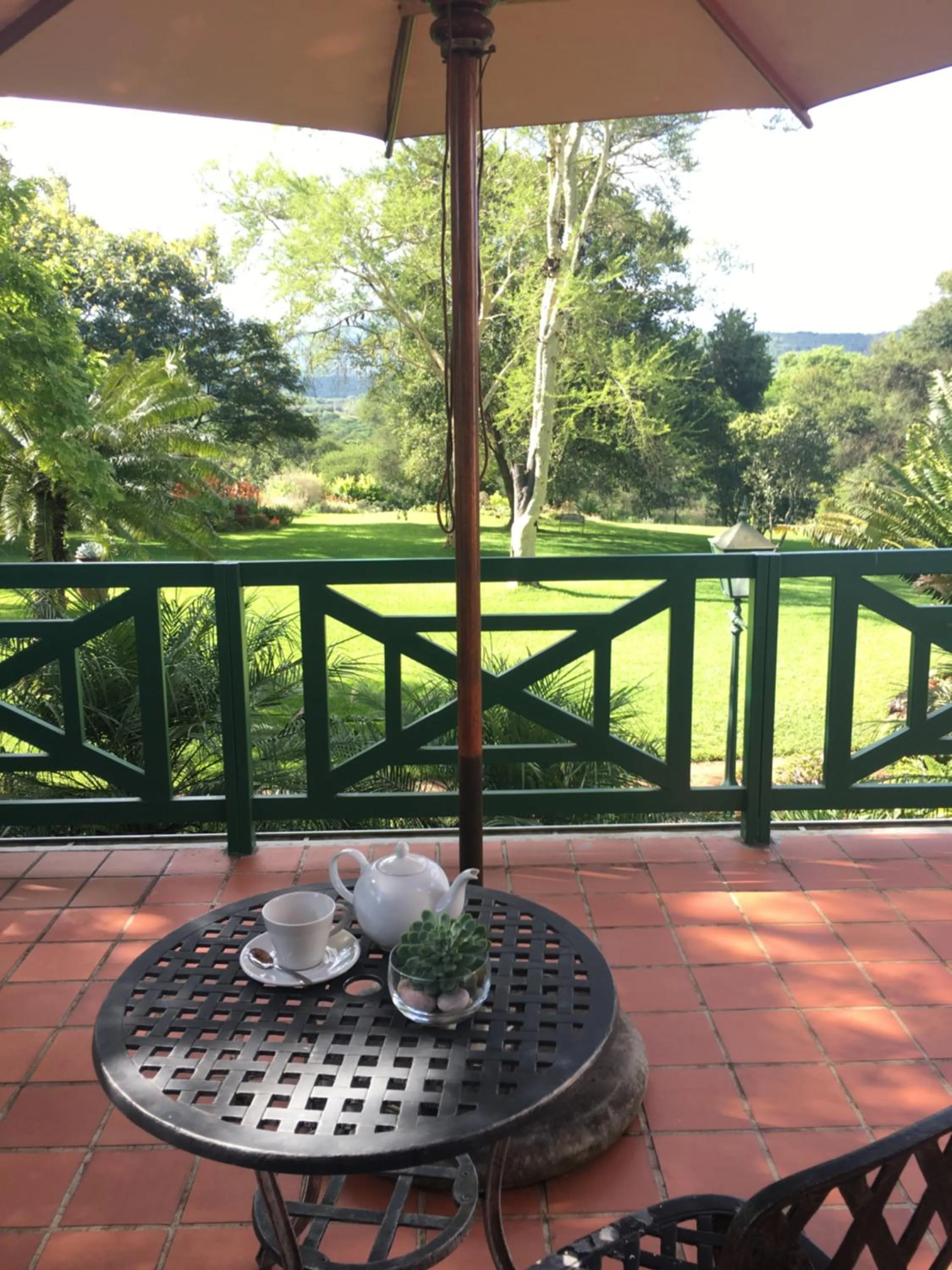 Garden view in Cuckoos Nest Guest House