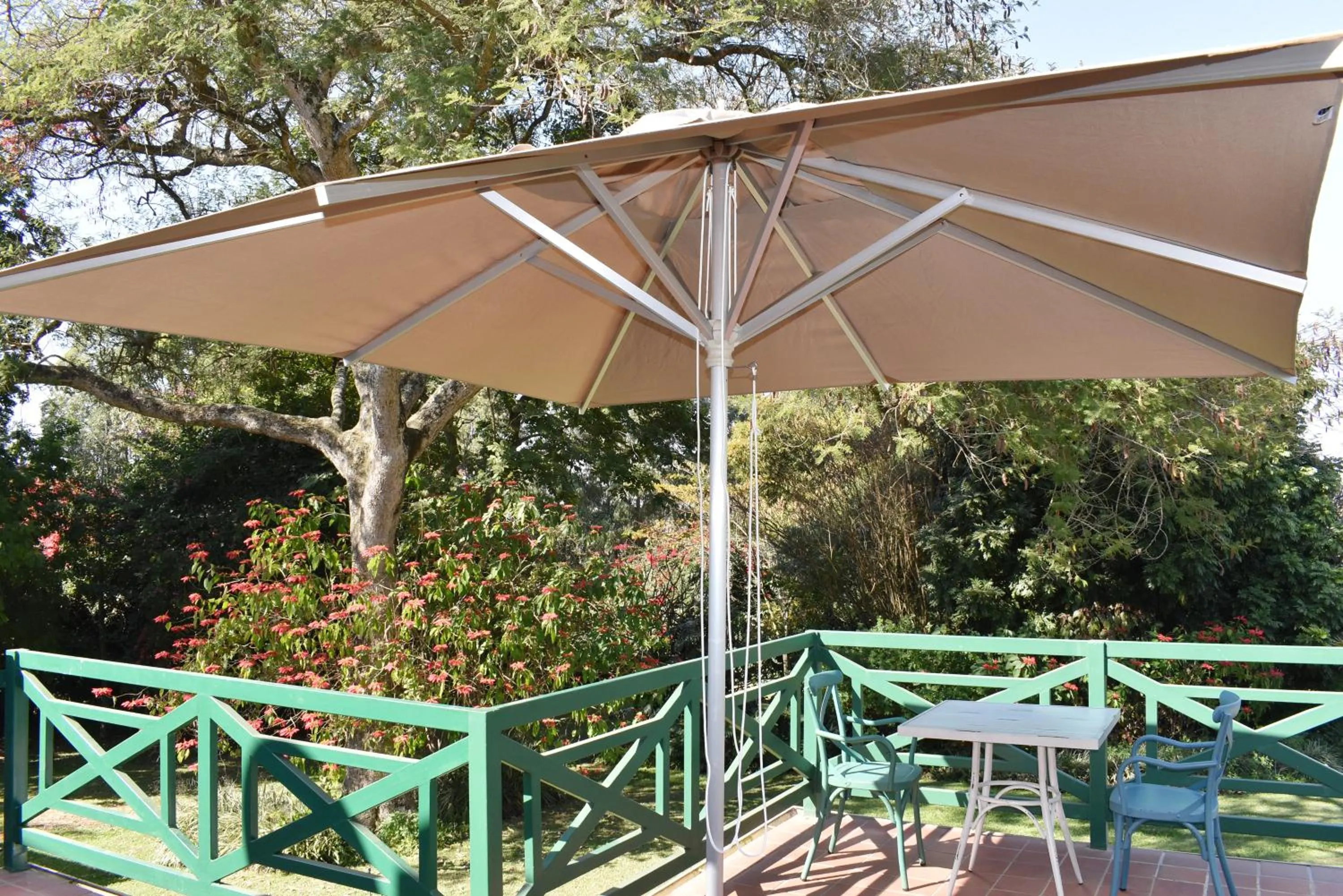 Cuckoos Nest Guest House
