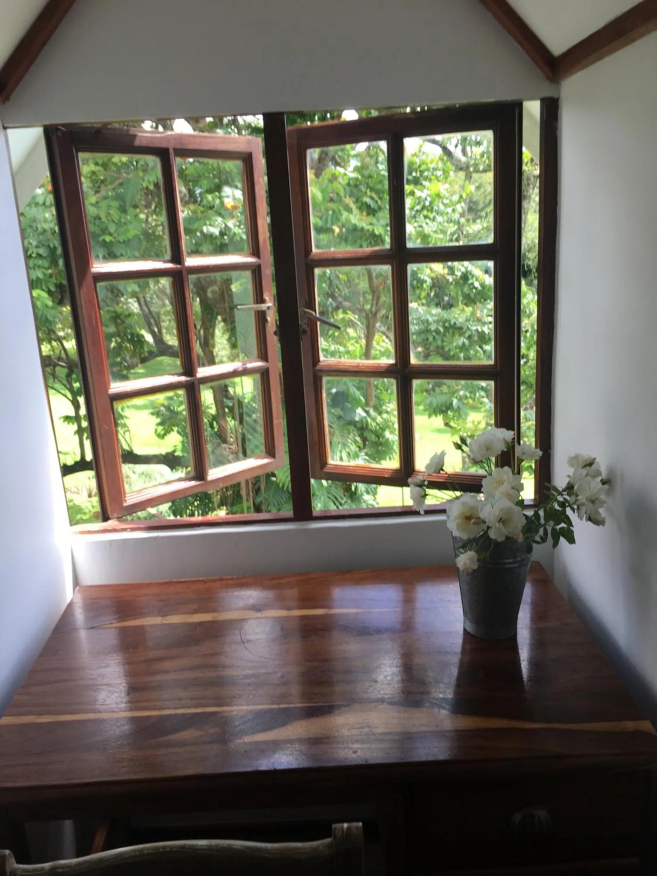 Other in Cuckoos Nest Guest House