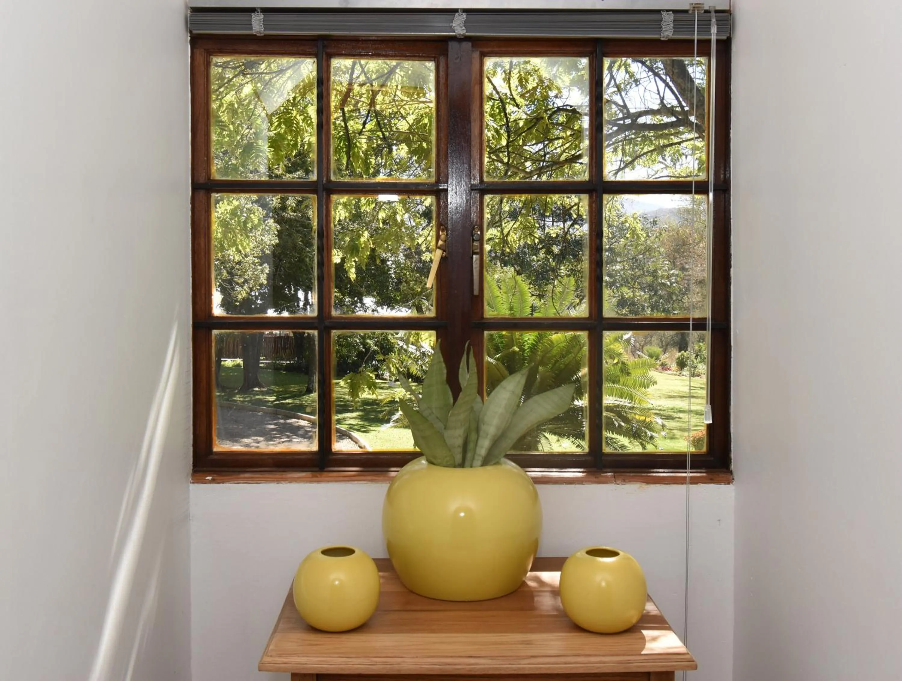 Cuckoos Nest Guest House