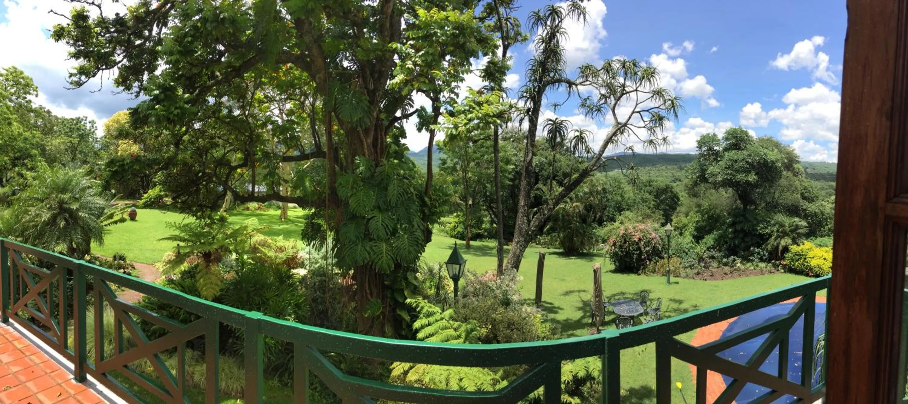 Garden in Cuckoos Nest Guest House
