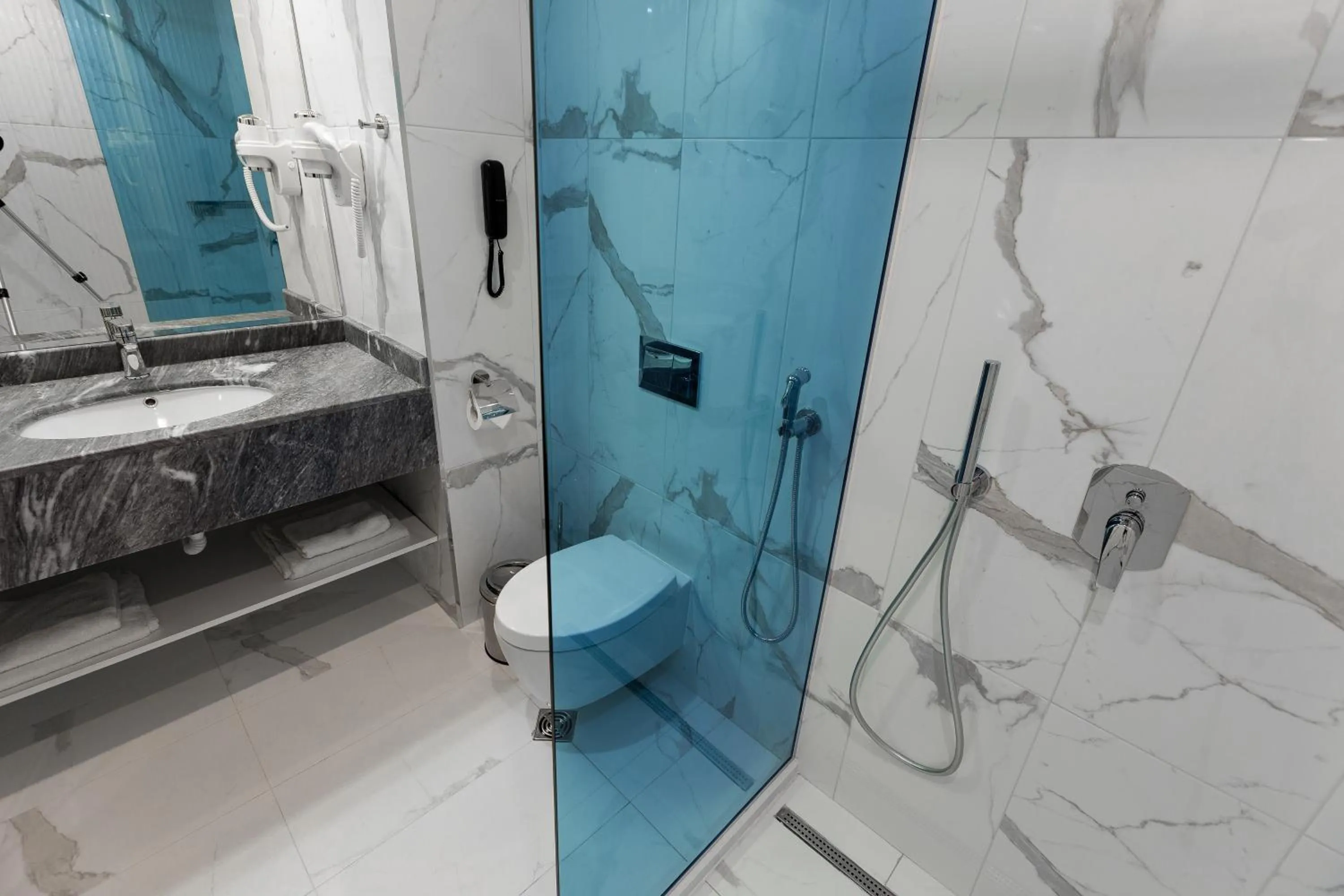 Toilet in Best Western PLUS Premium Inn